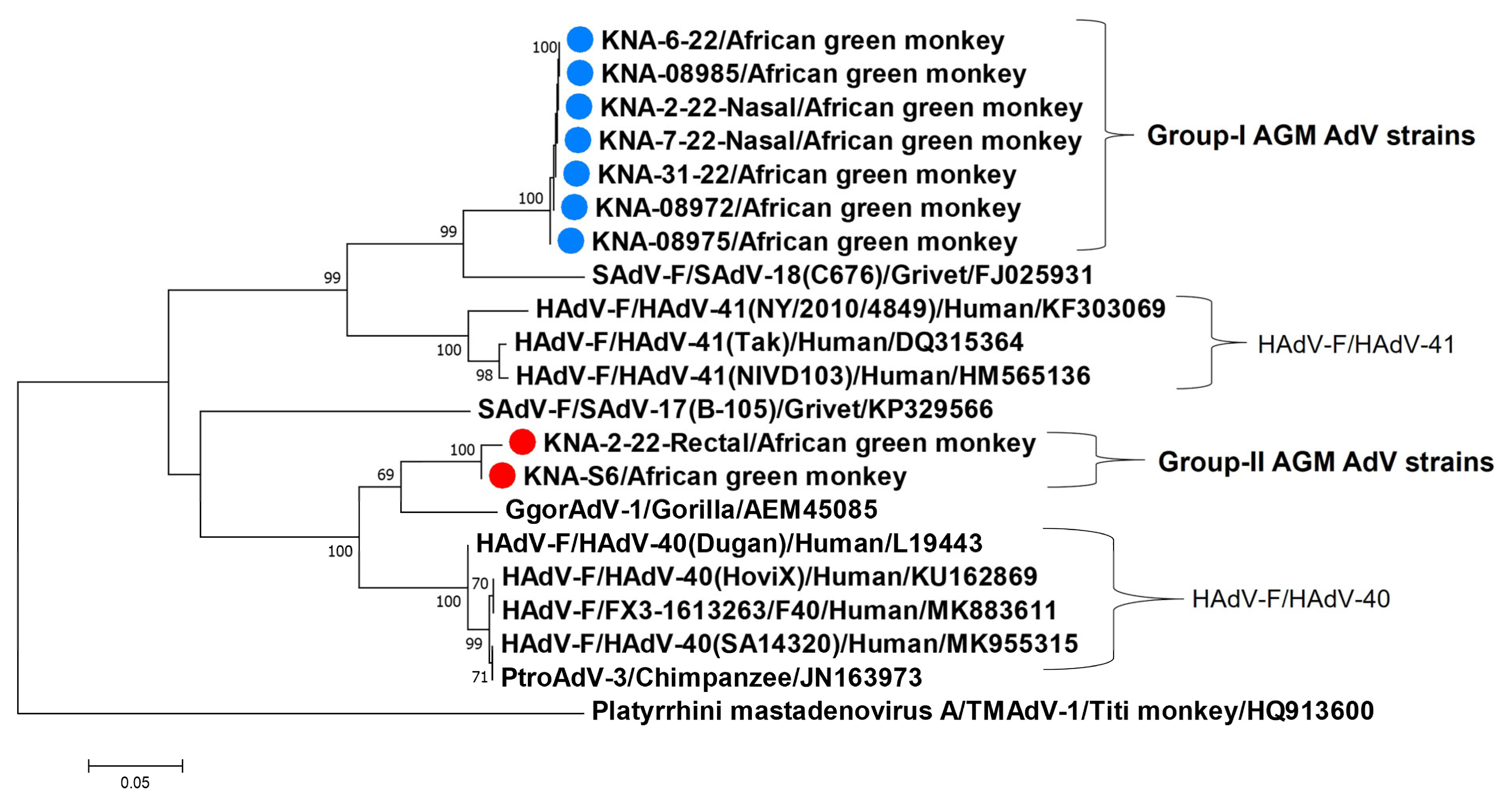 Viruses 15 01605 g002