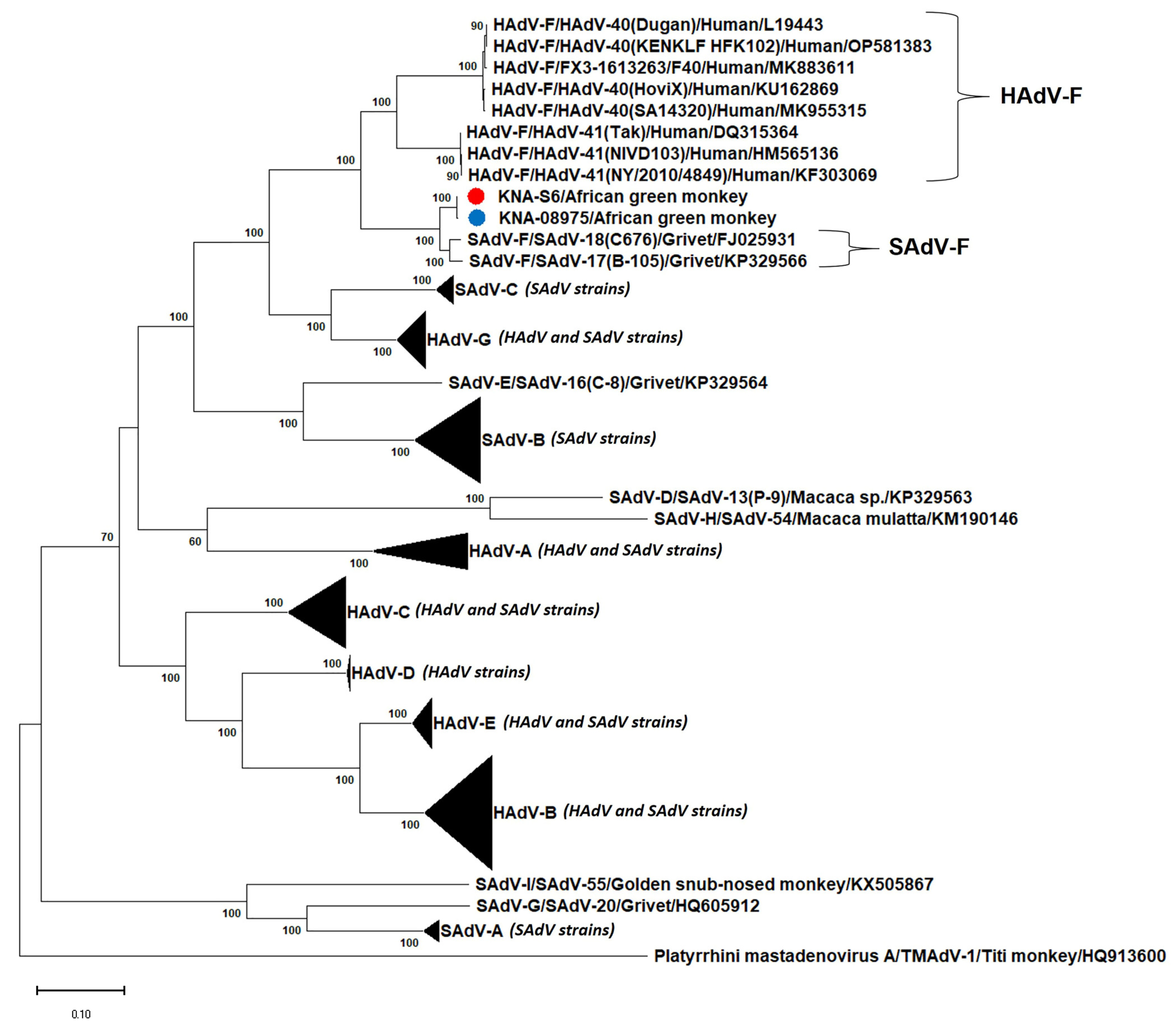 Viruses 15 01605 g003