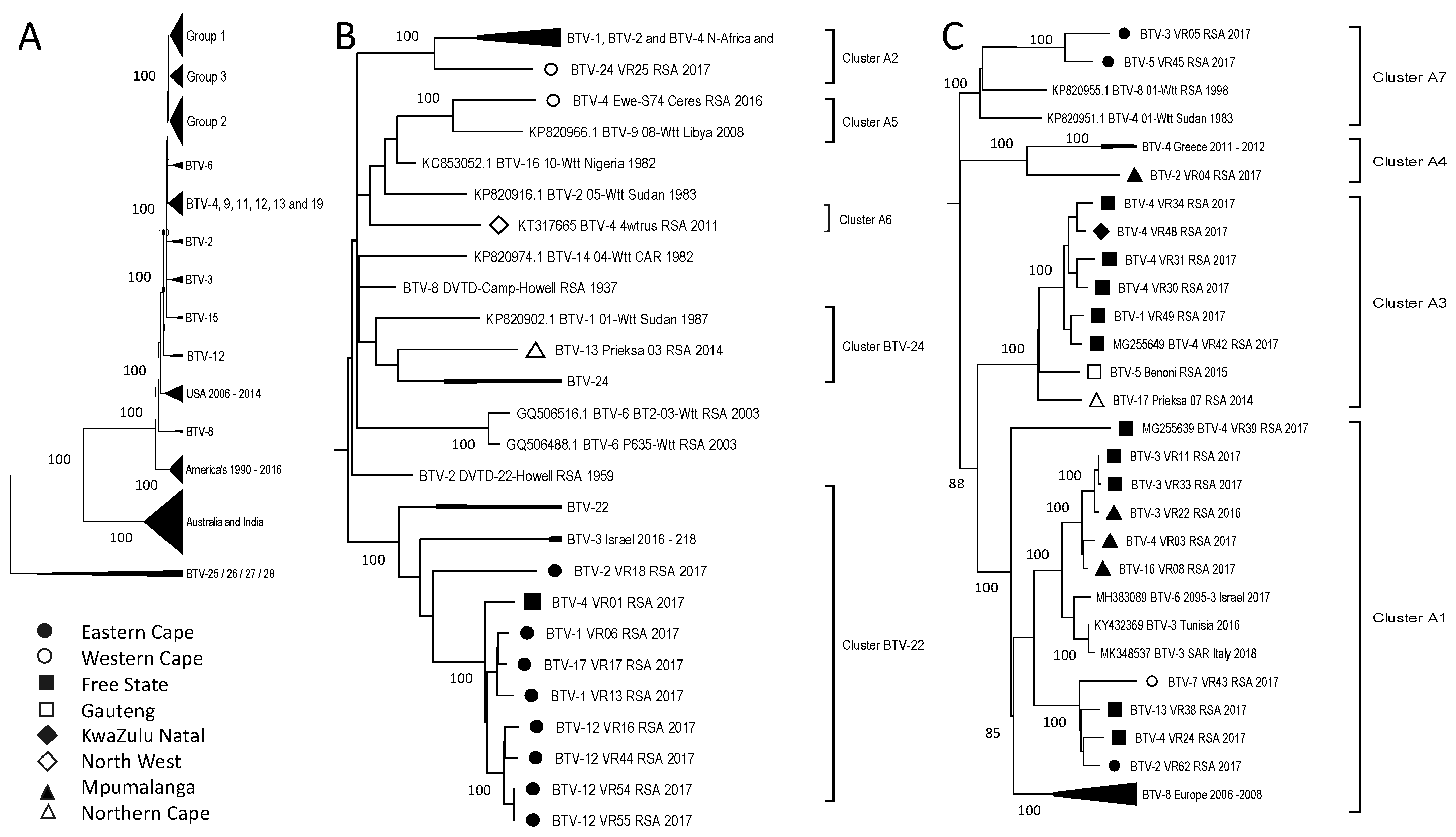 Viruses 15 01611 g004