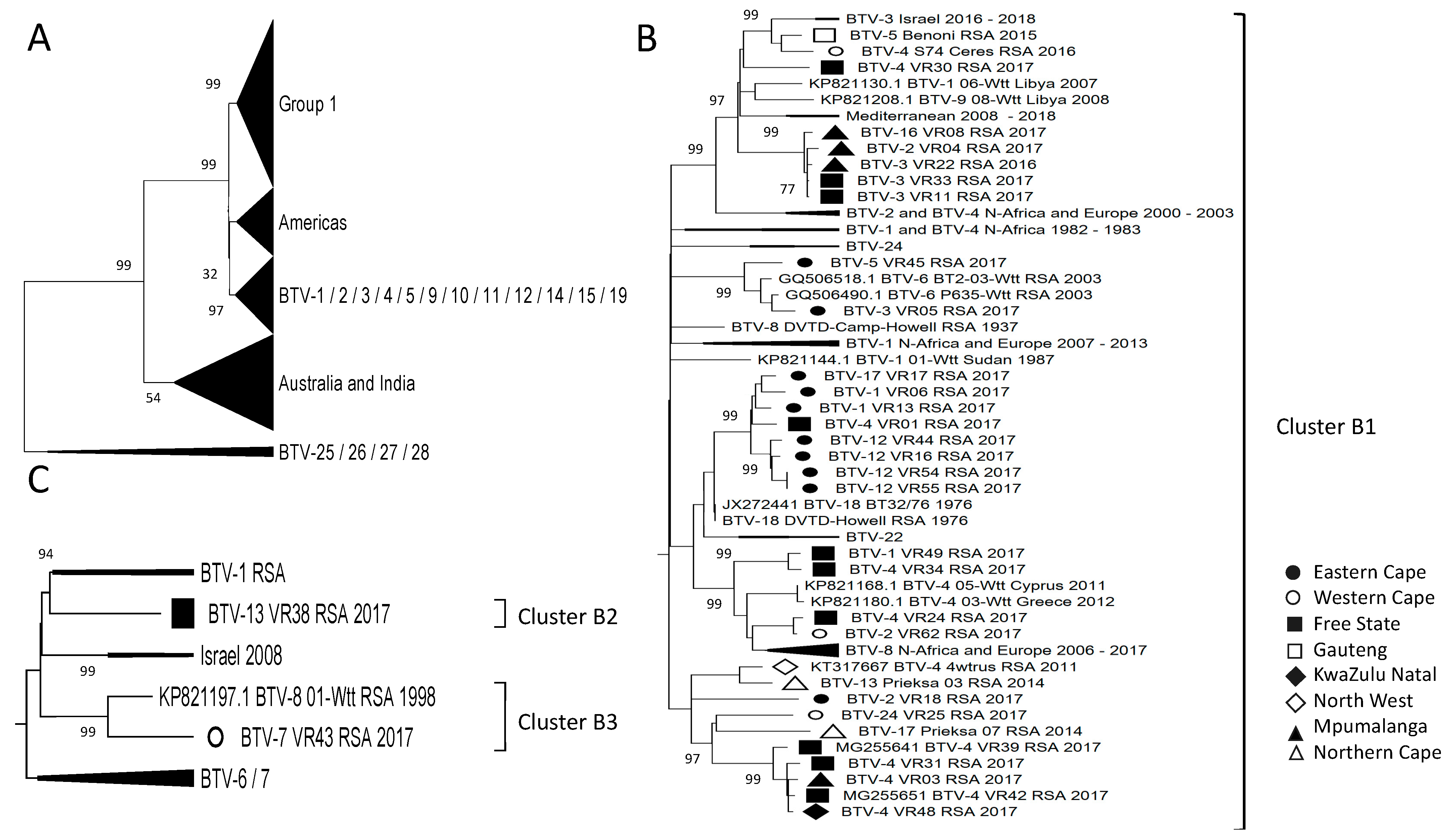 Viruses 15 01611 g005