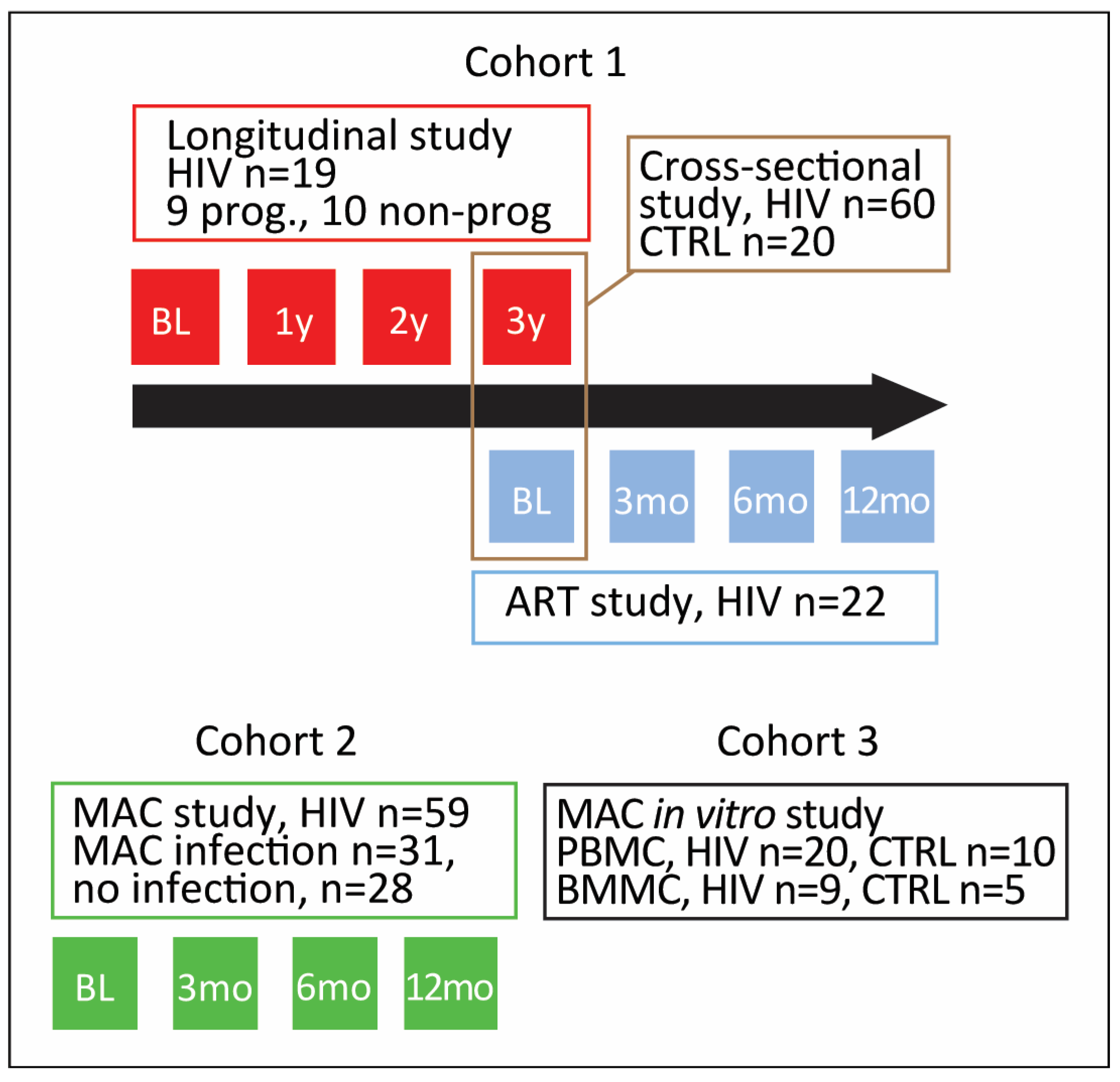 Viruses 15 01613 g001