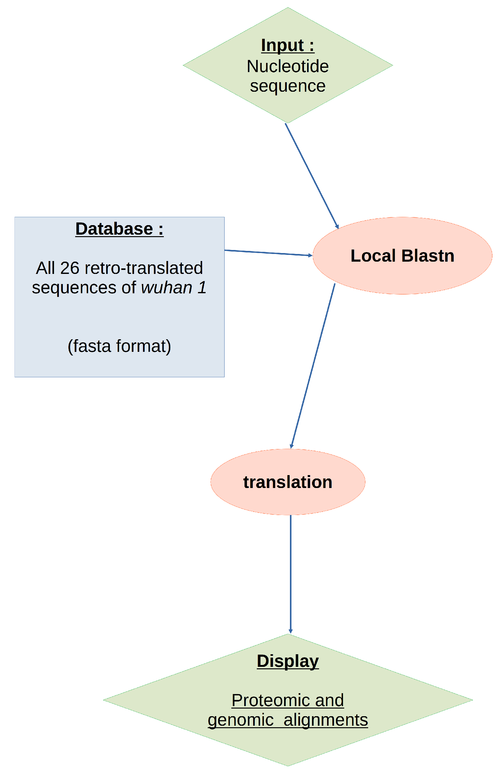 Viruses 15 01628 g001