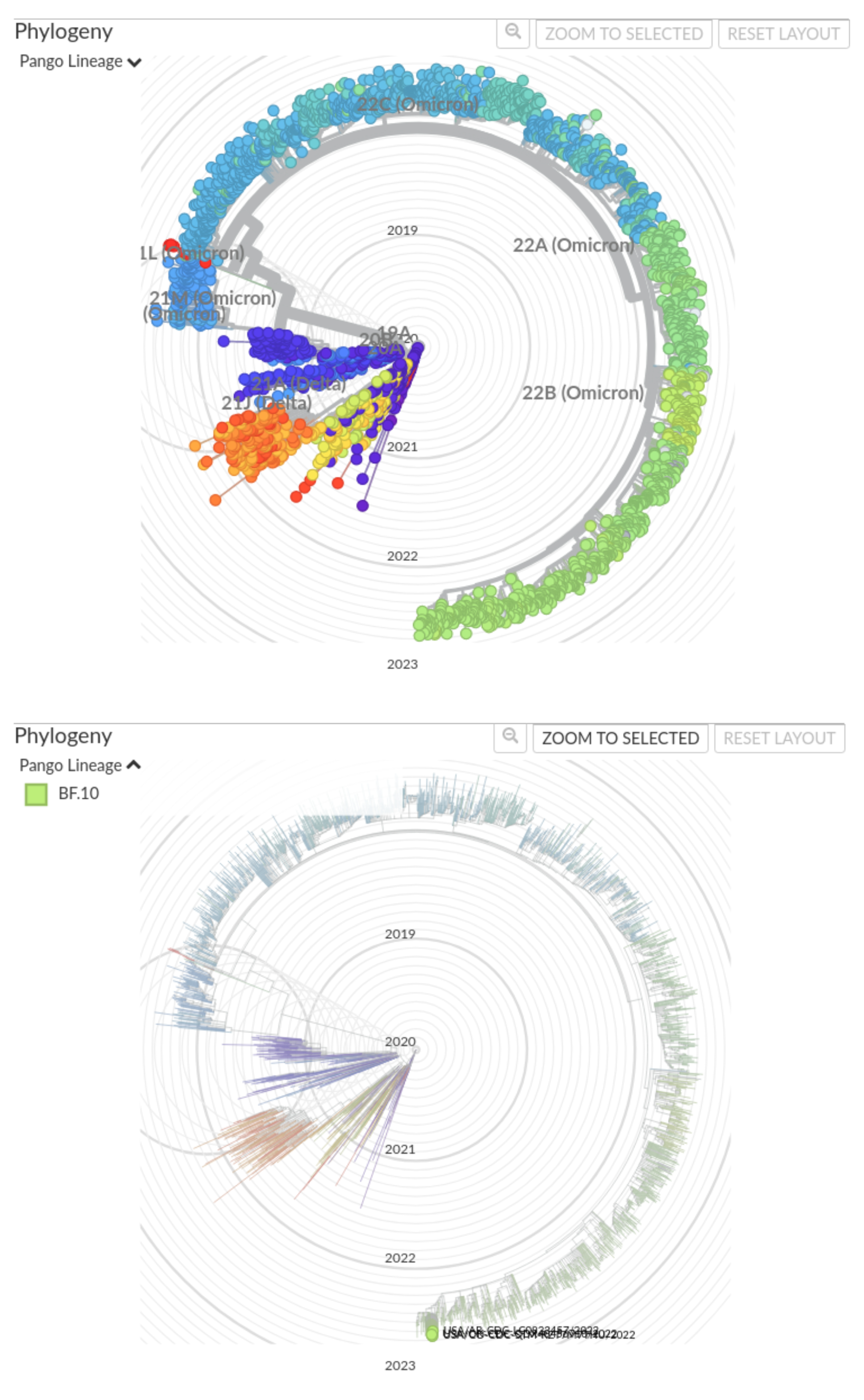 Viruses 15 01628 g005