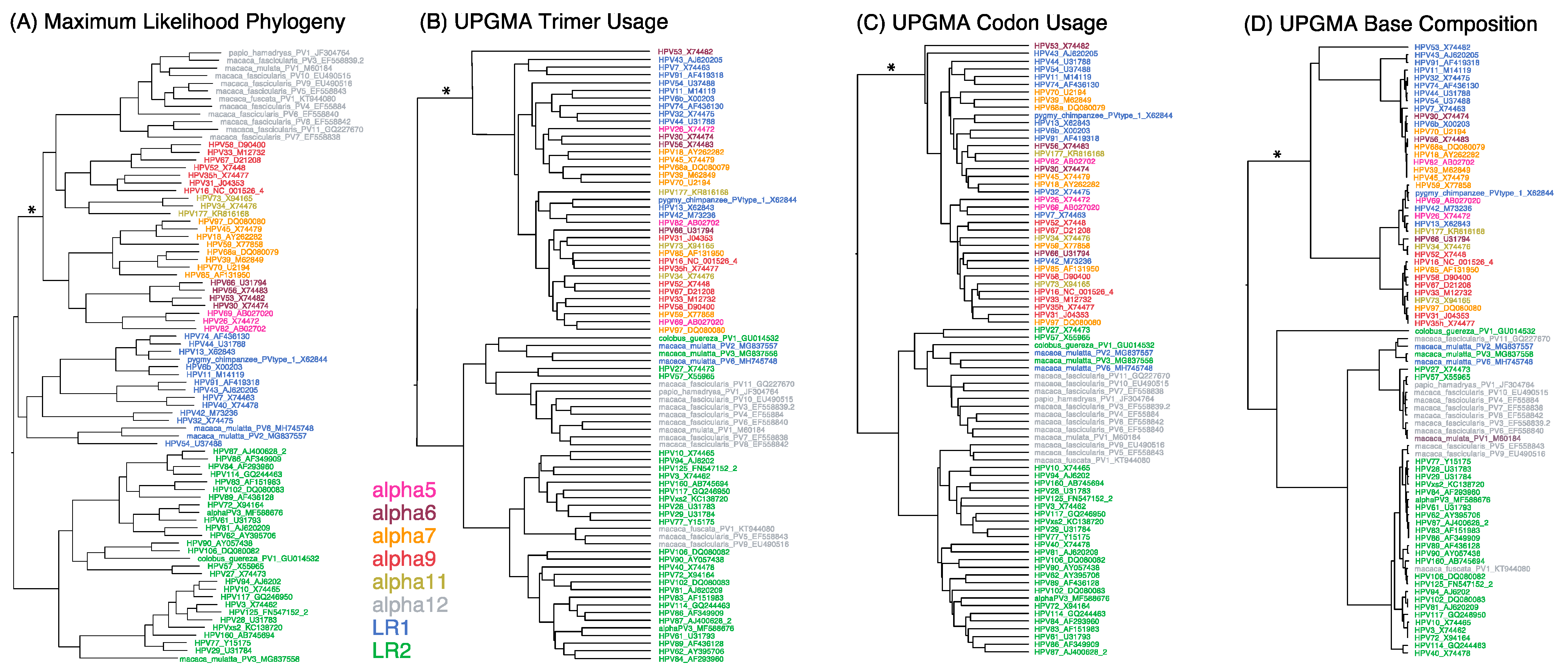 Viruses 15 01631 g001