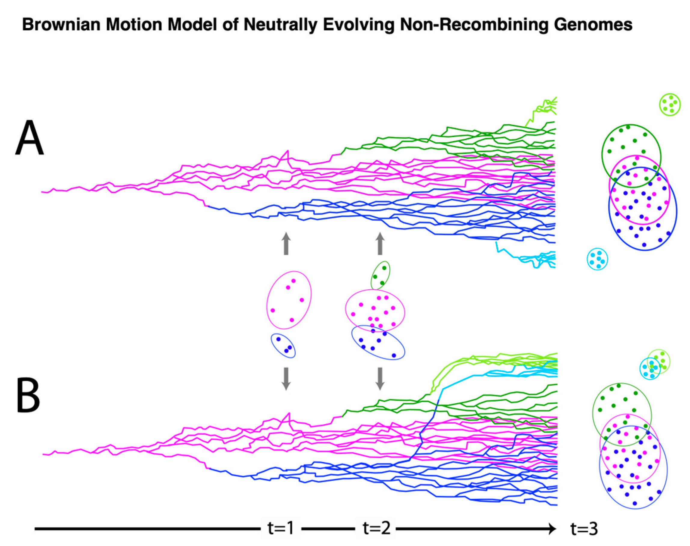 Viruses 15 01631 g003