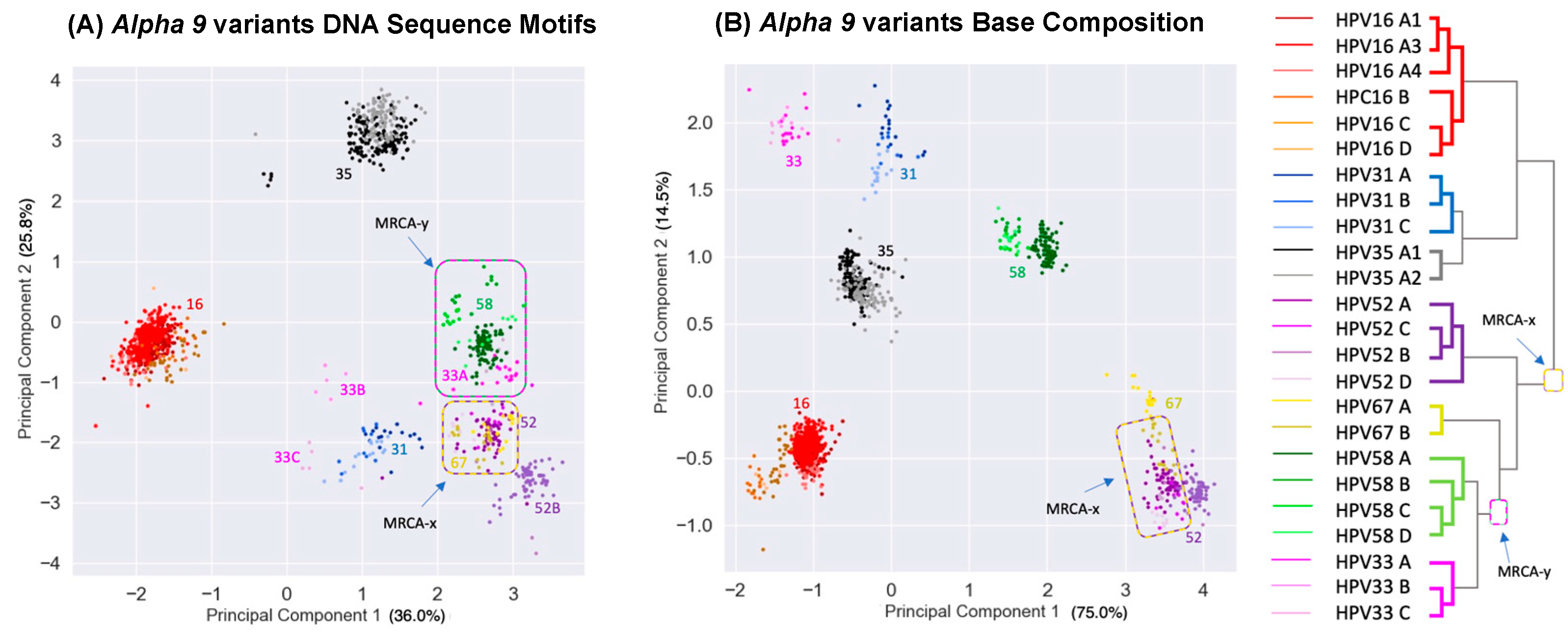 Viruses 15 01631 g005