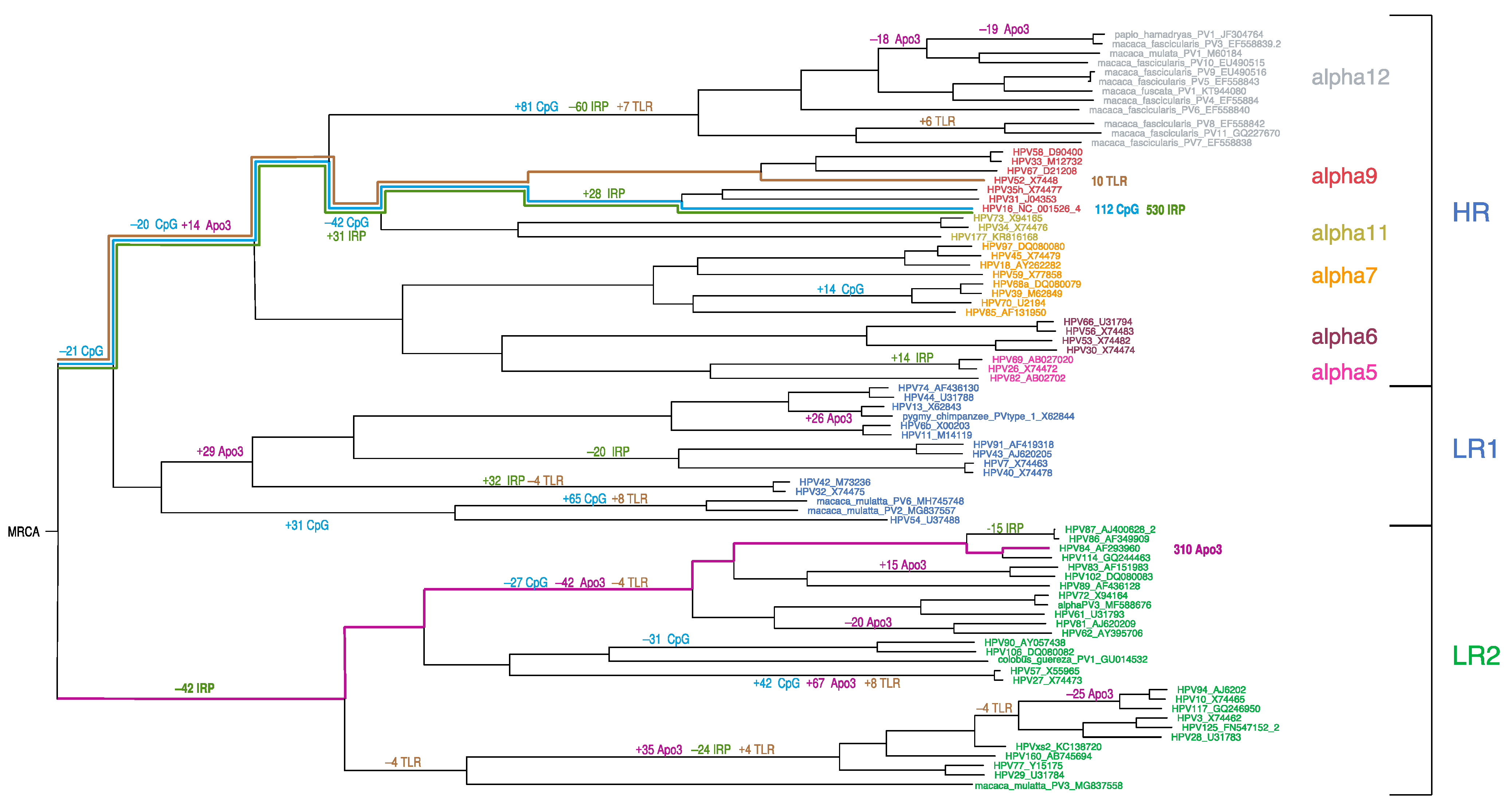 Viruses 15 01631 g006
