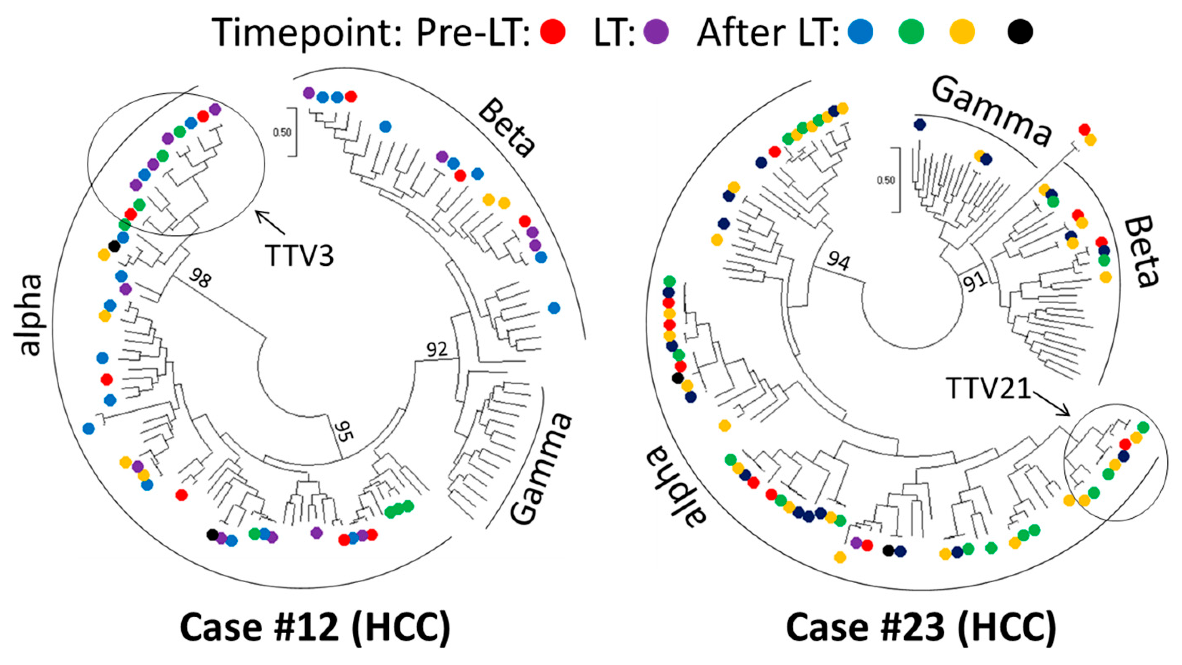 Viruses 15 01635 g007