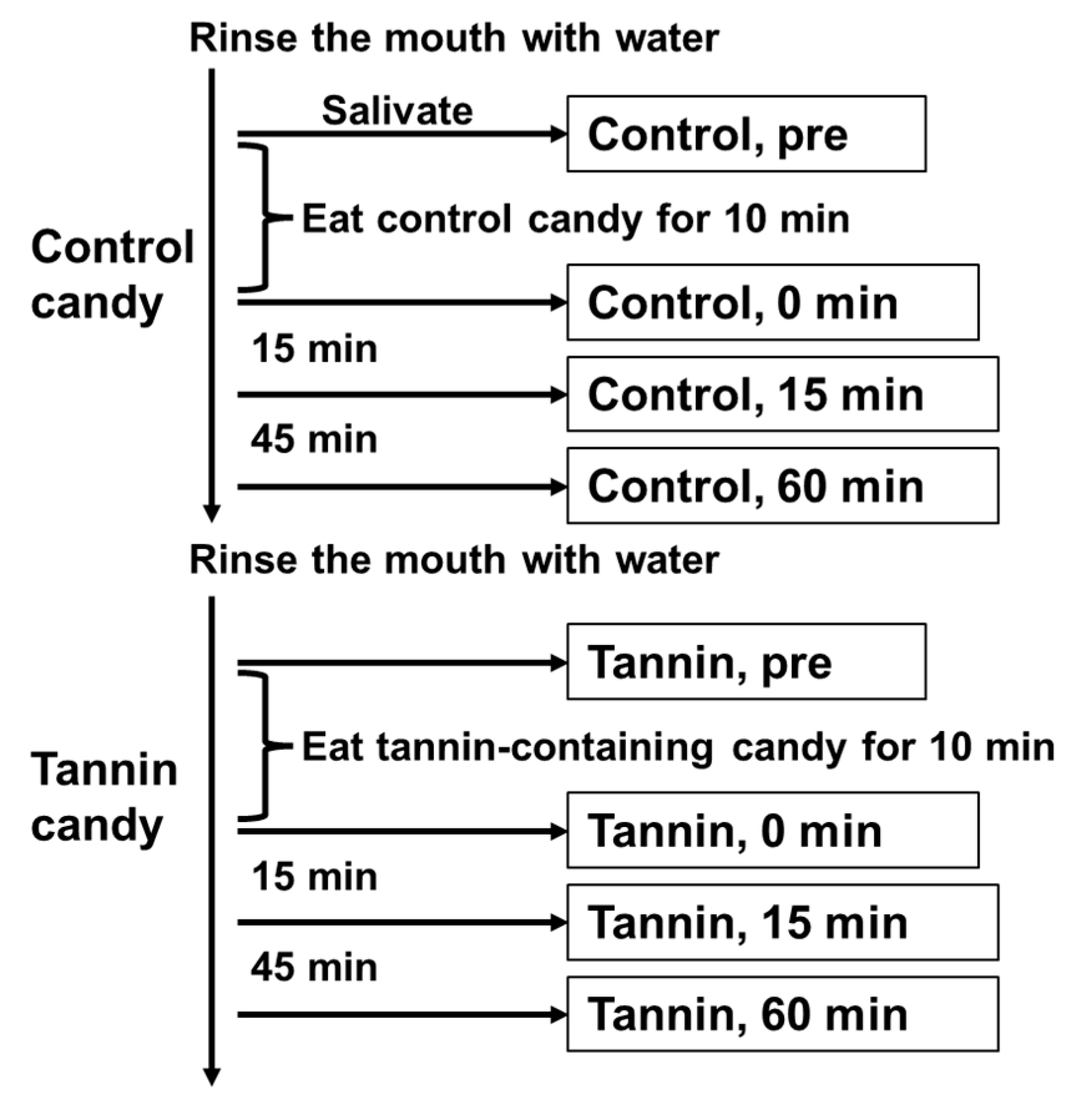 Viruses 15 01636 g003