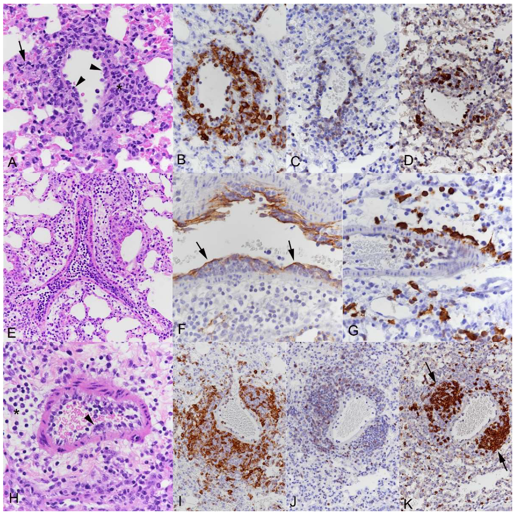 Viruses 15 01637 g005