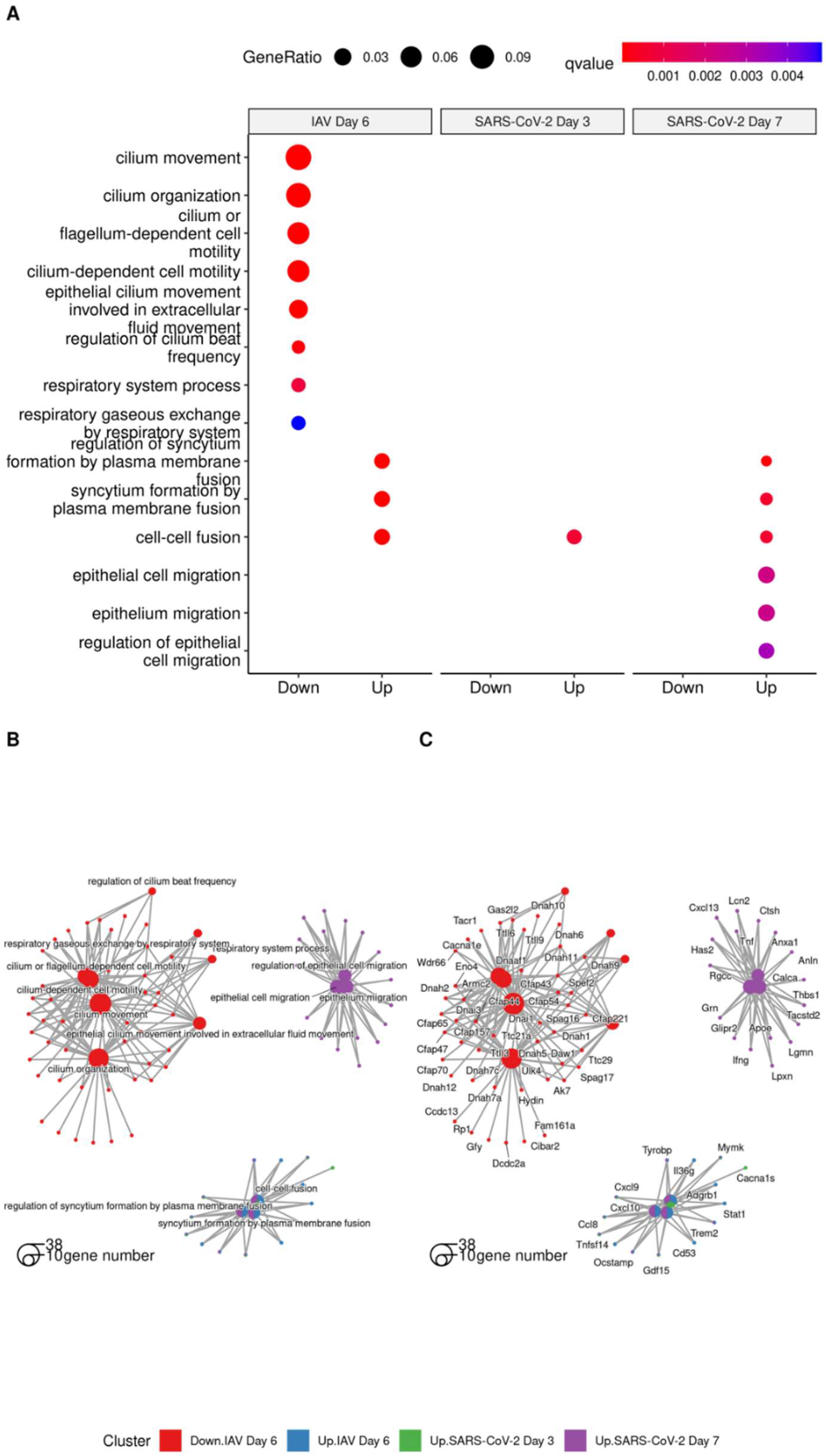 Viruses 15 01637 g006