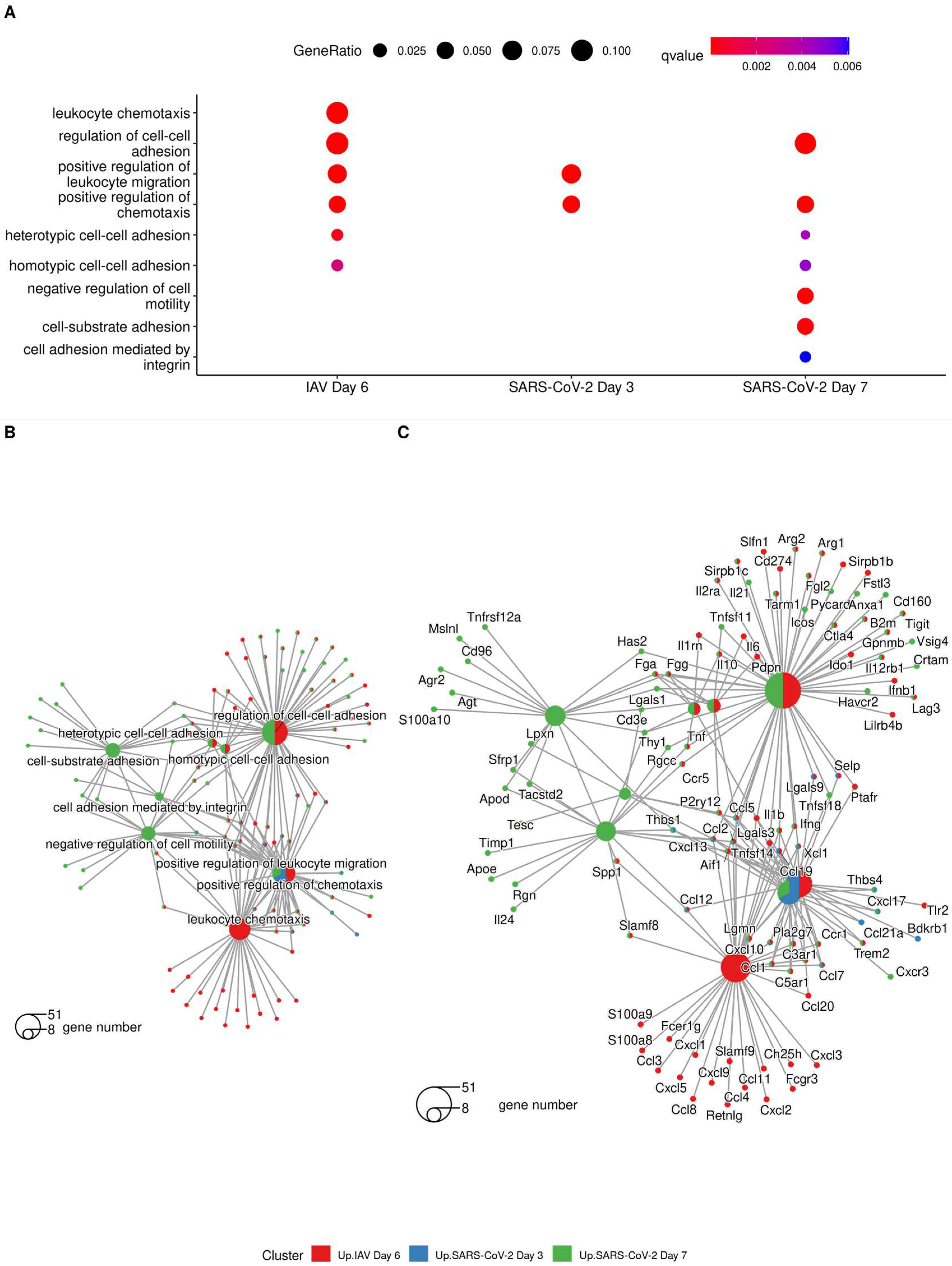 Viruses 15 01637 g007