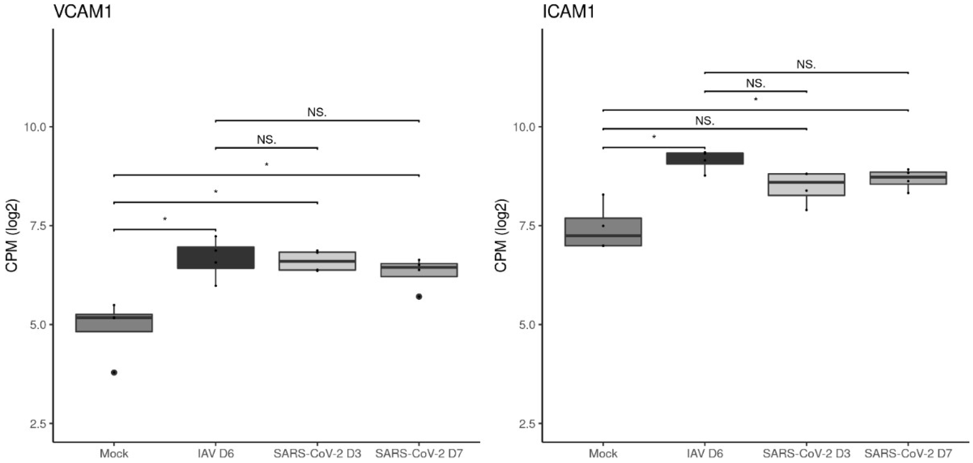 Viruses 15 01637 g008