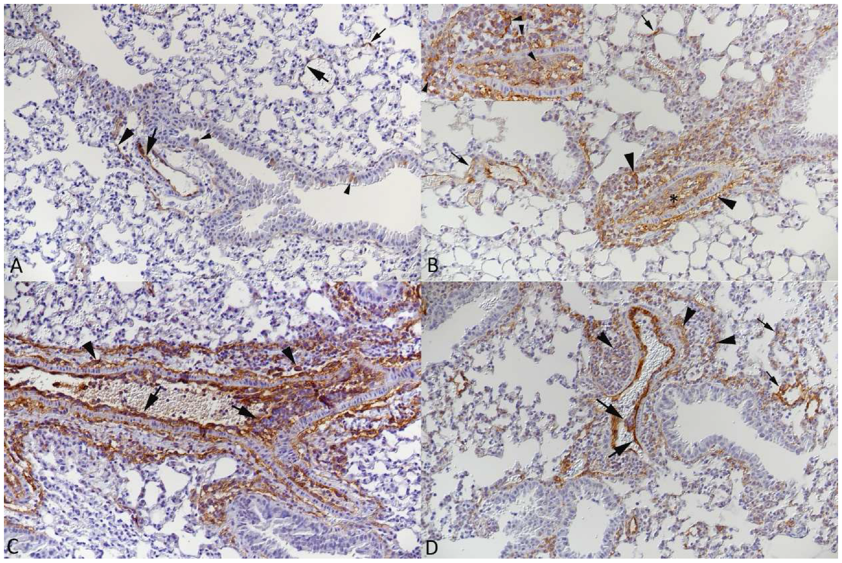 Viruses 15 01637 g009