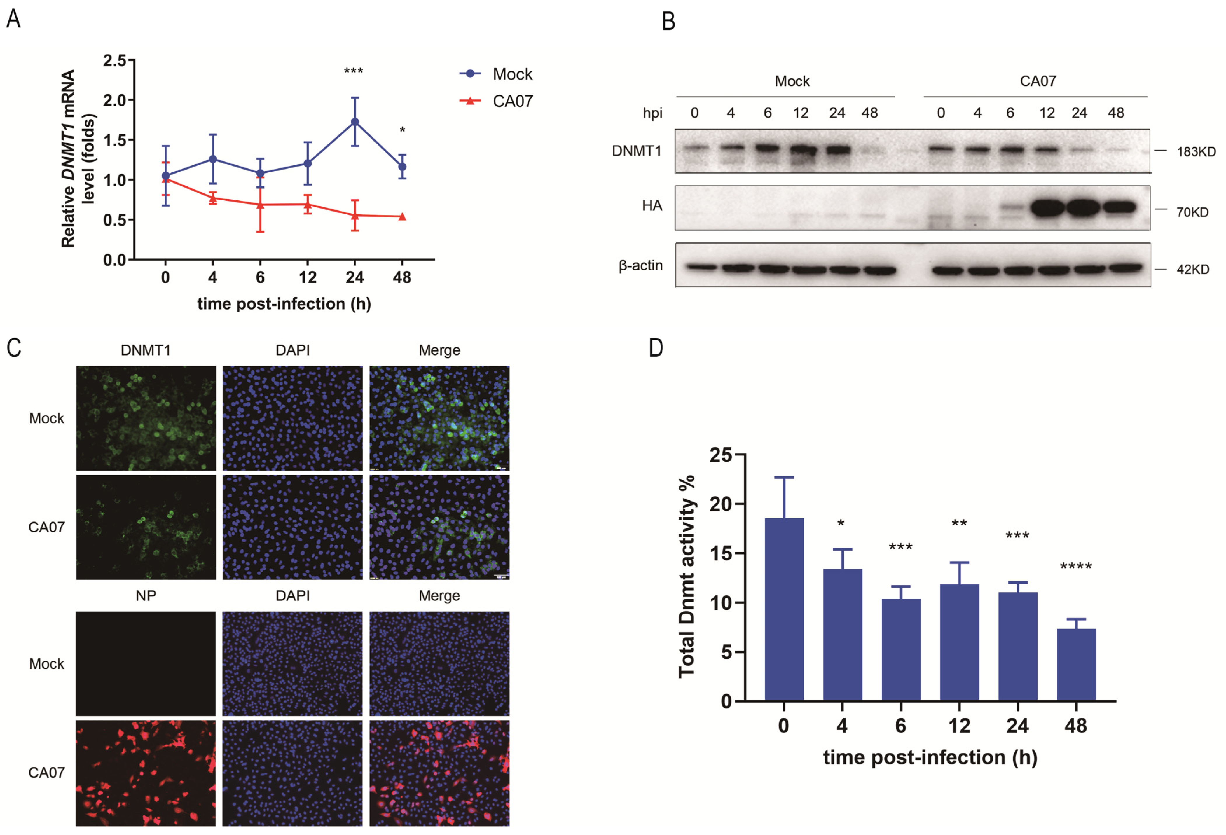 Viruses 15 01646 g001