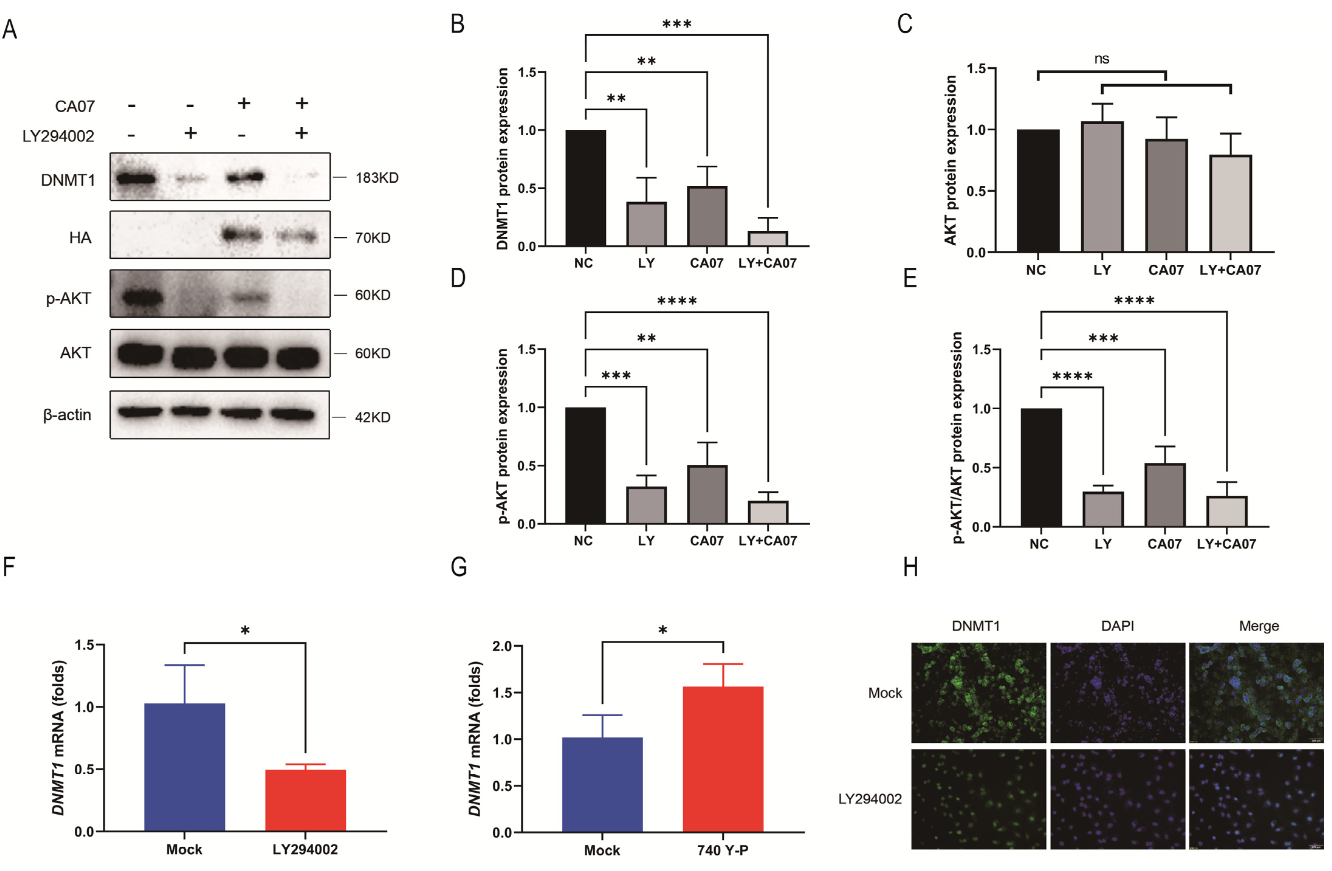 Viruses 15 01646 g003