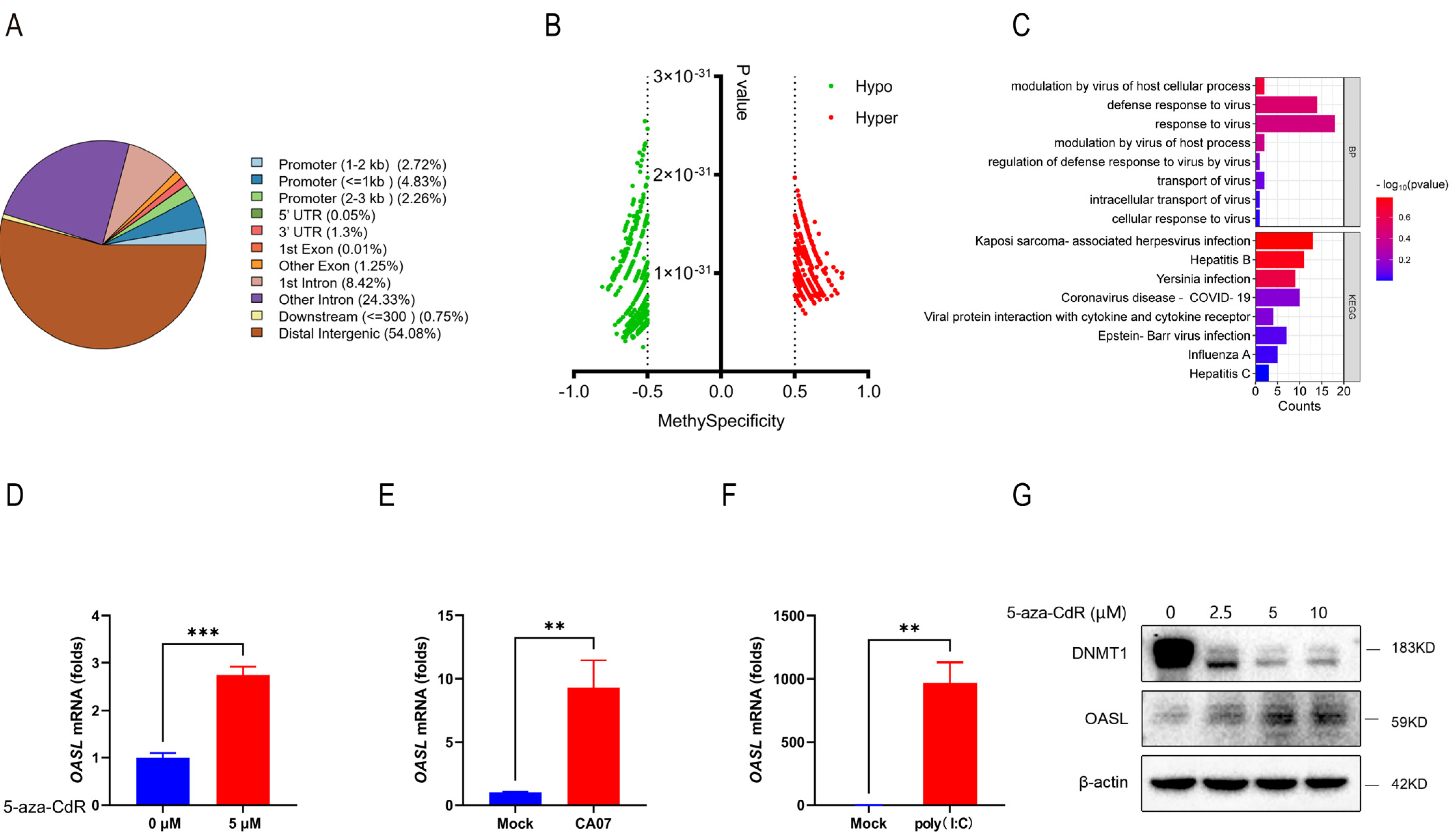 Viruses 15 01646 g004