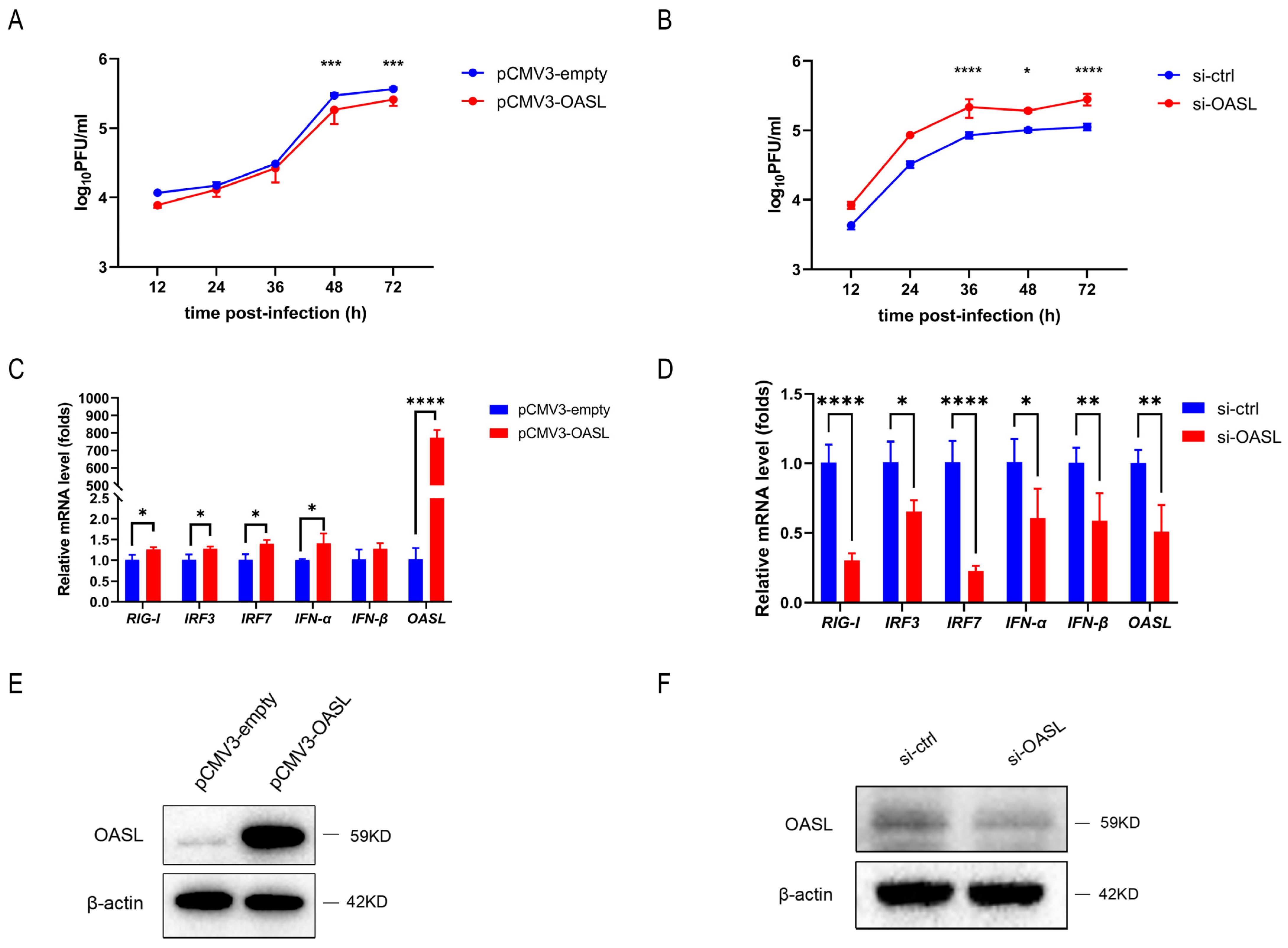 Viruses 15 01646 g006