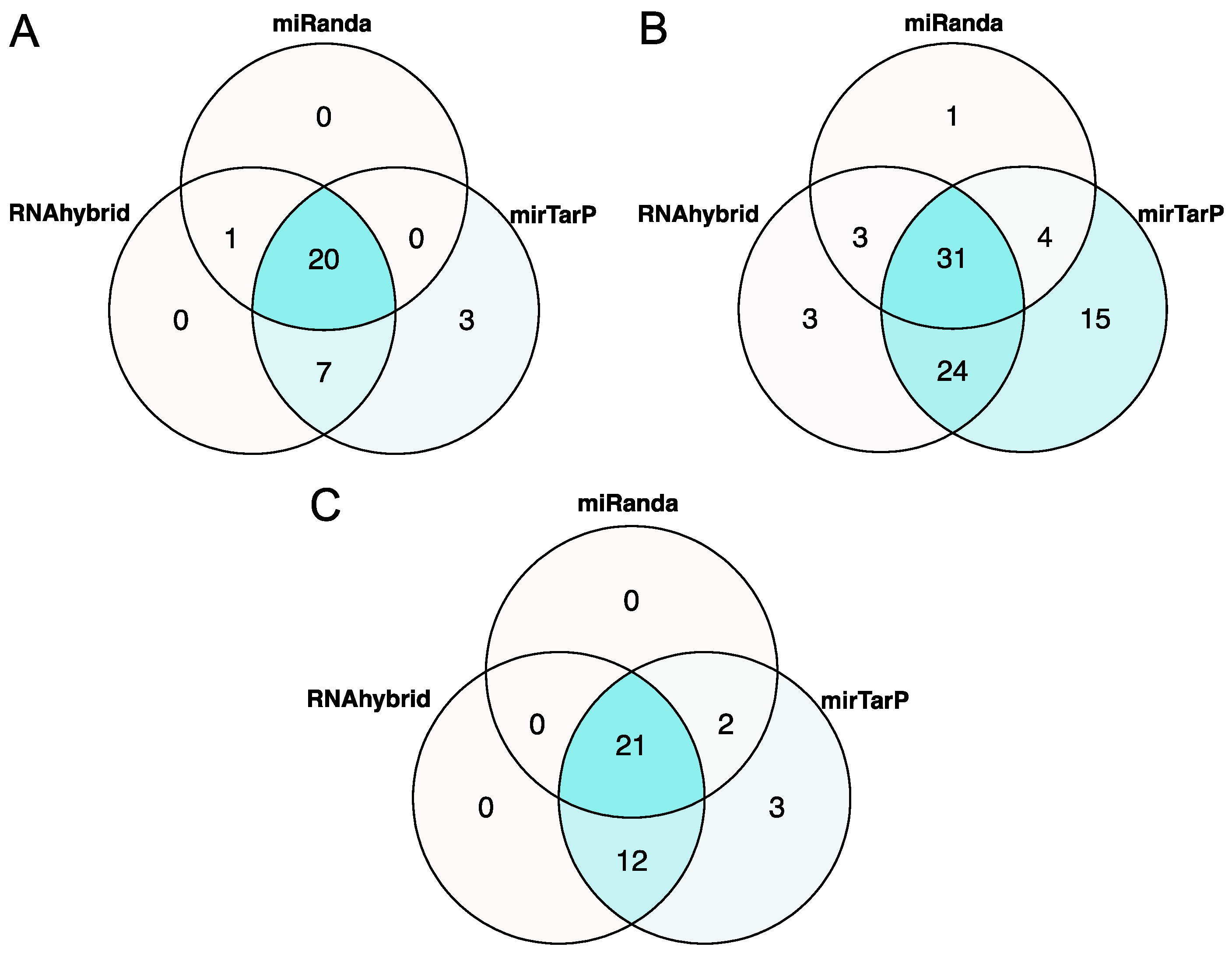 Viruses 15 01647 g003