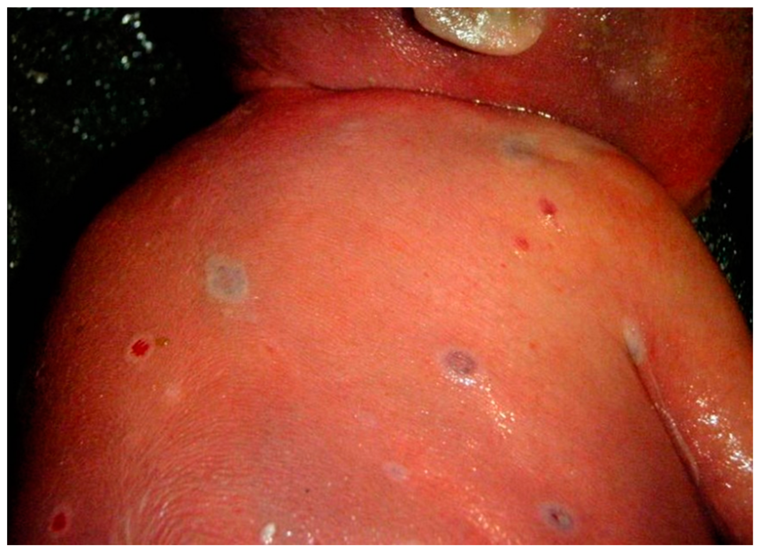 Viruses 15 01649 g001