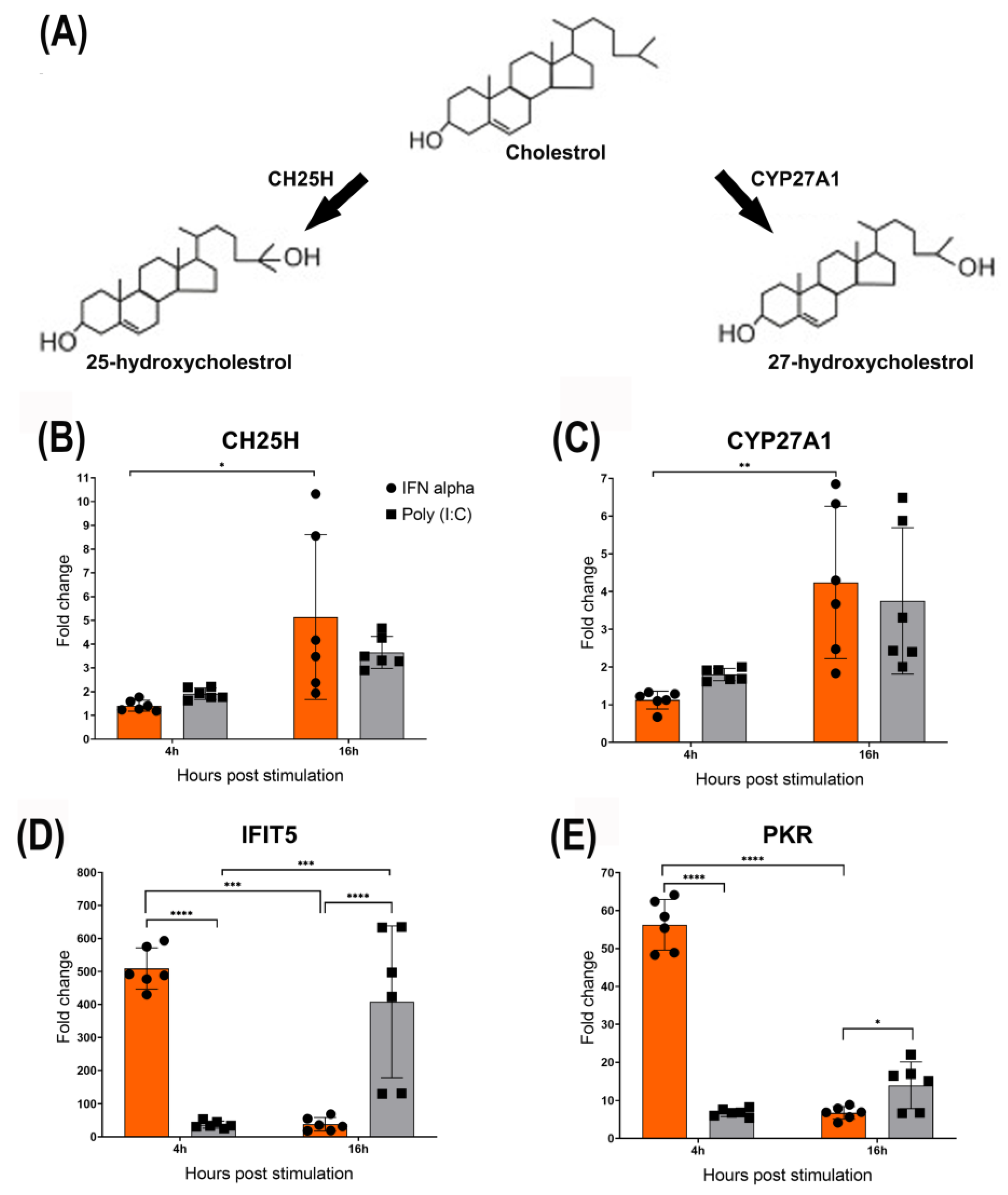 Viruses 15 01652 g002