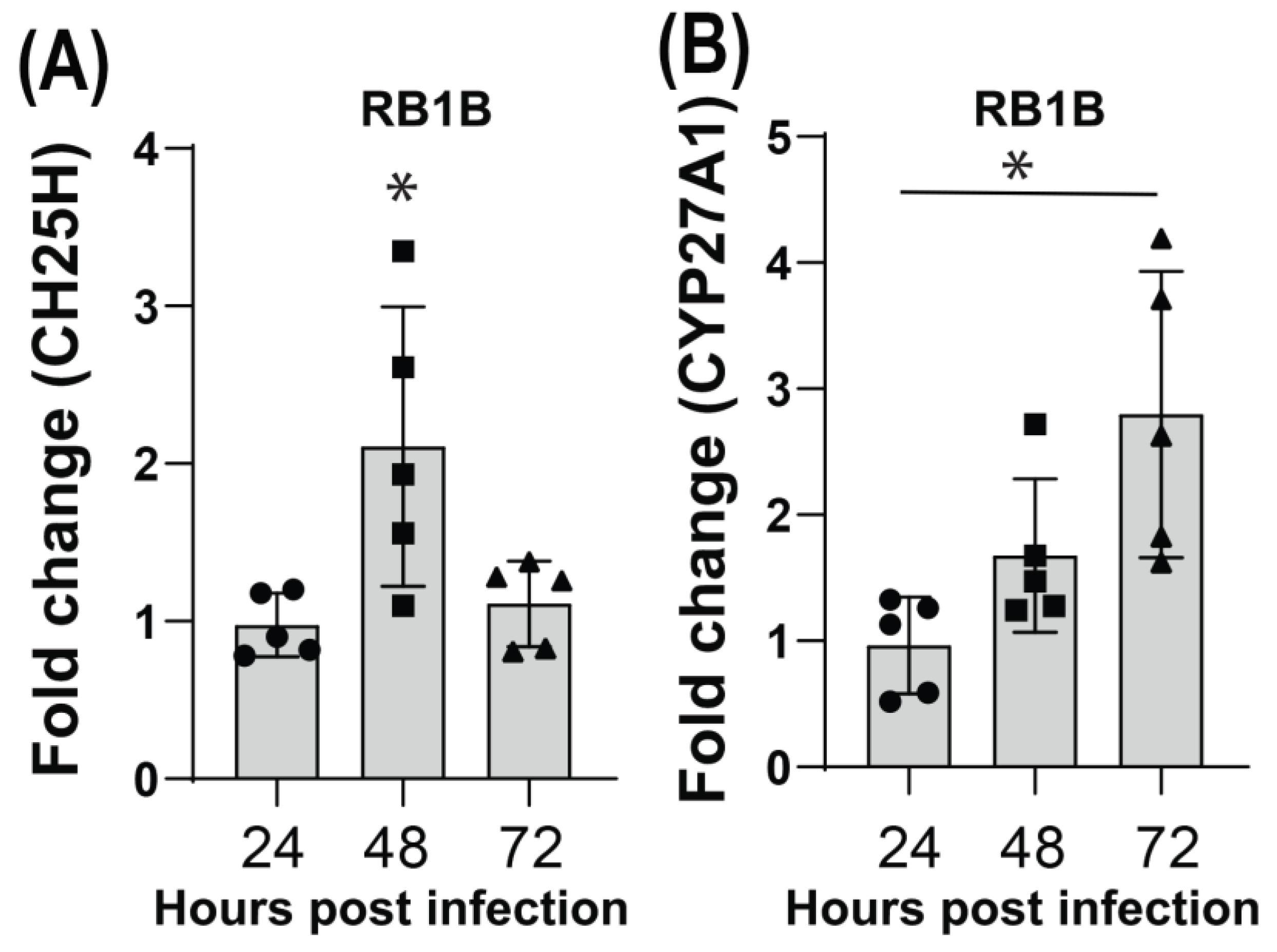 Viruses 15 01652 g003