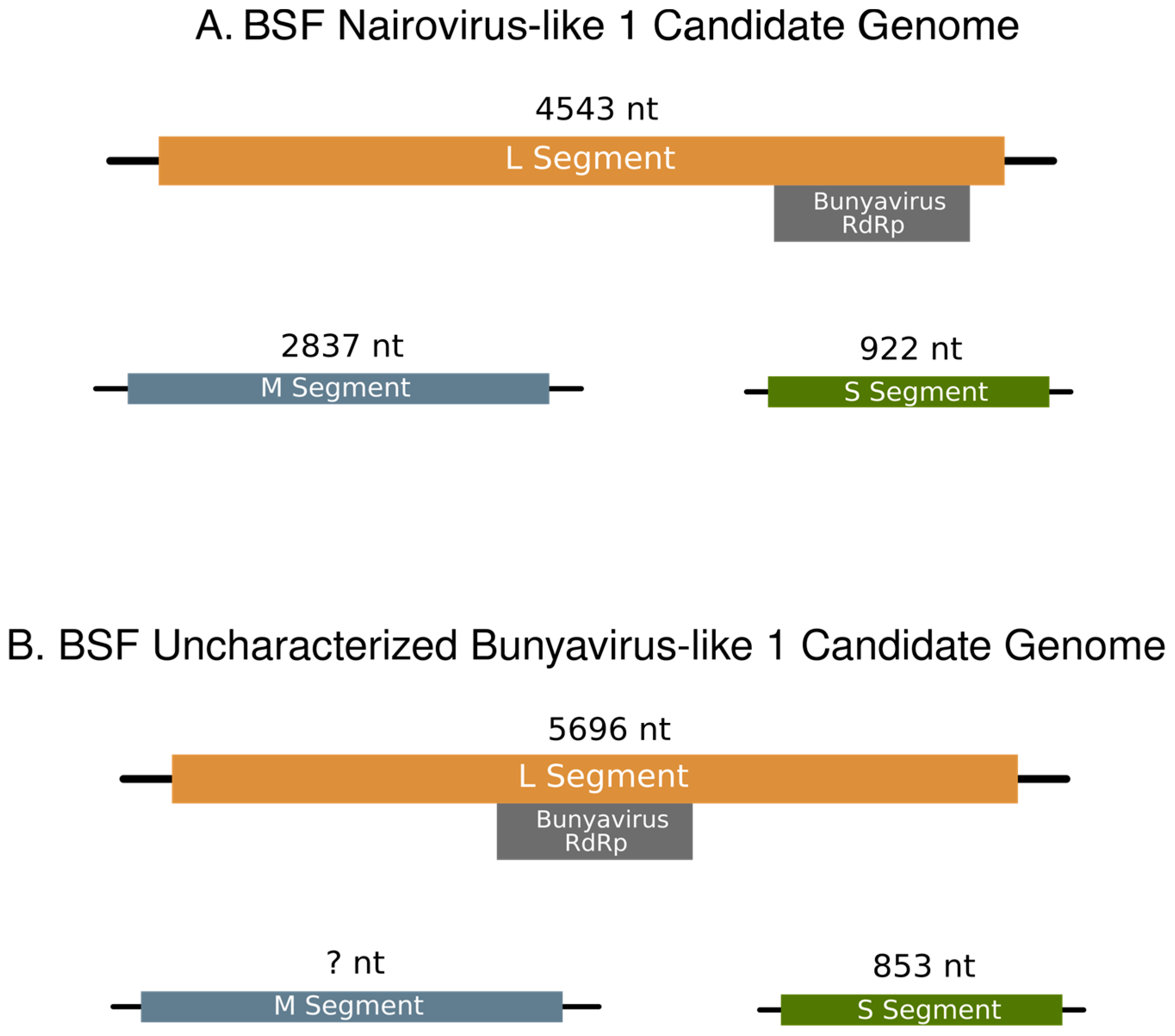 Viruses 15 01654 g003