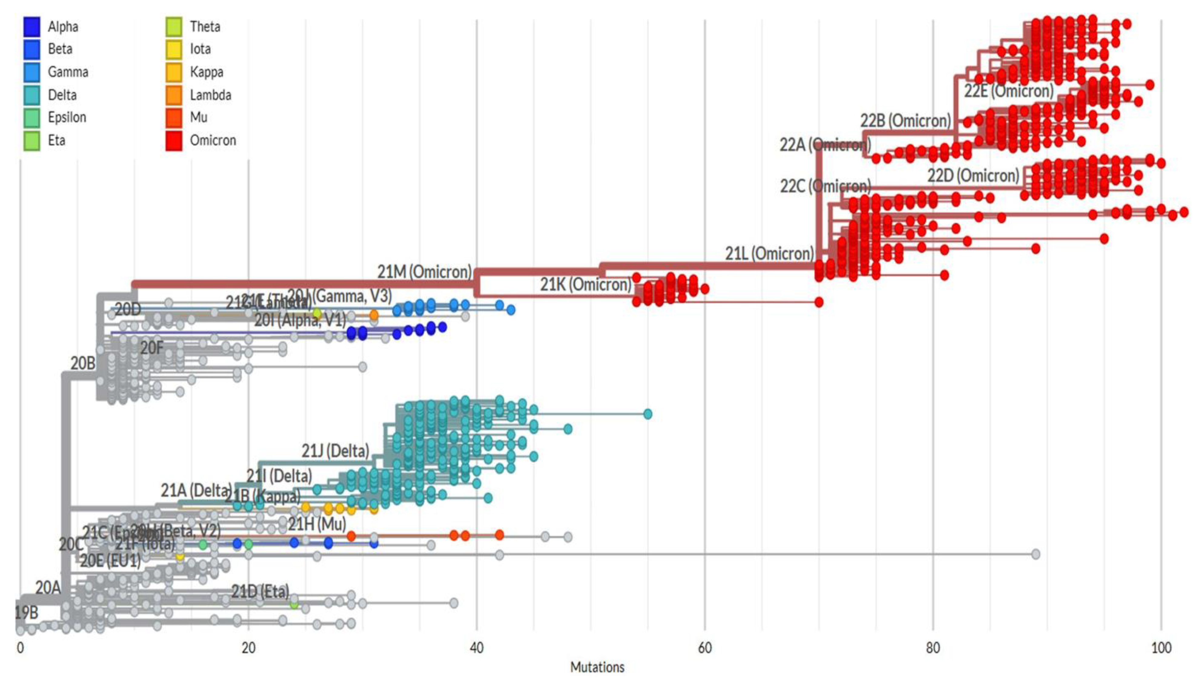 Viruses 15 01656 g003
