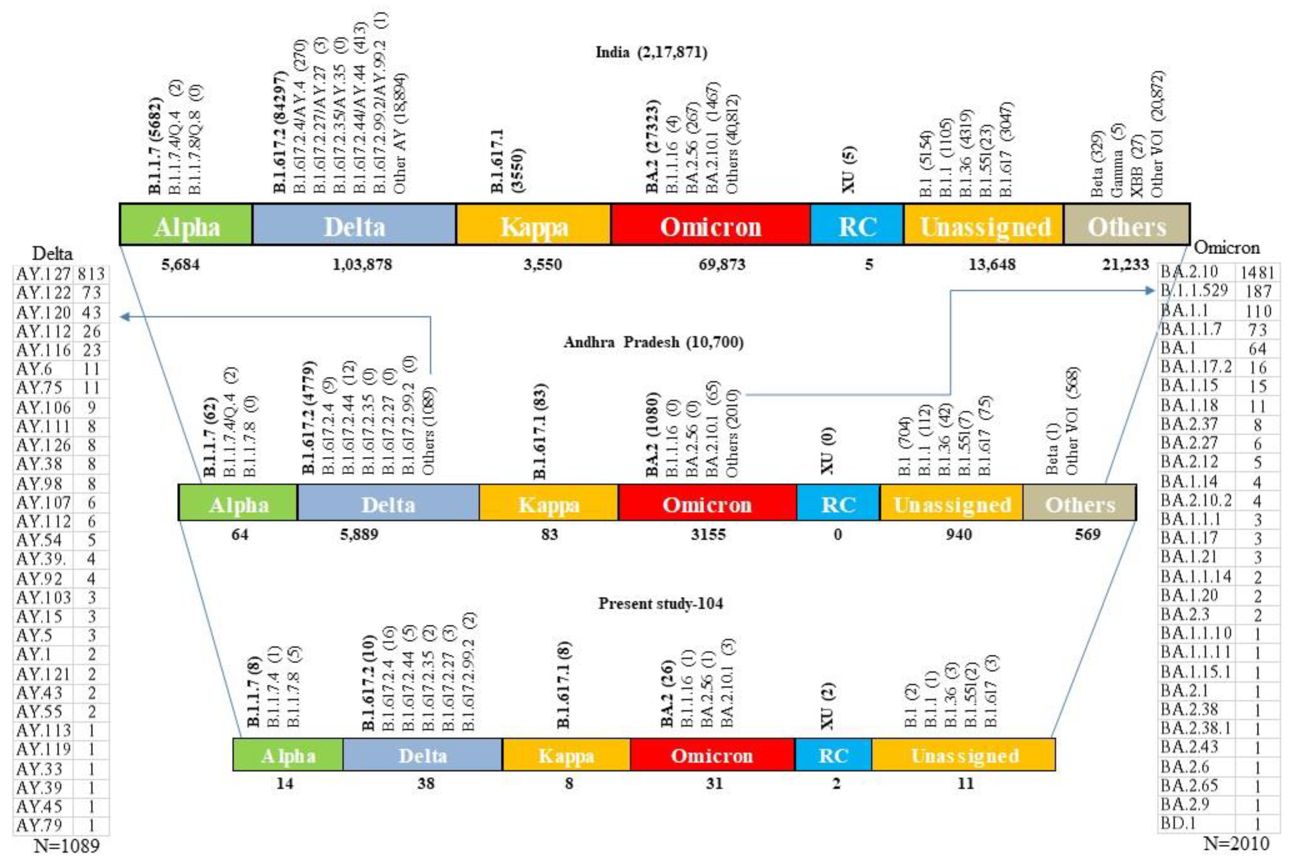 Viruses 15 01656 g005