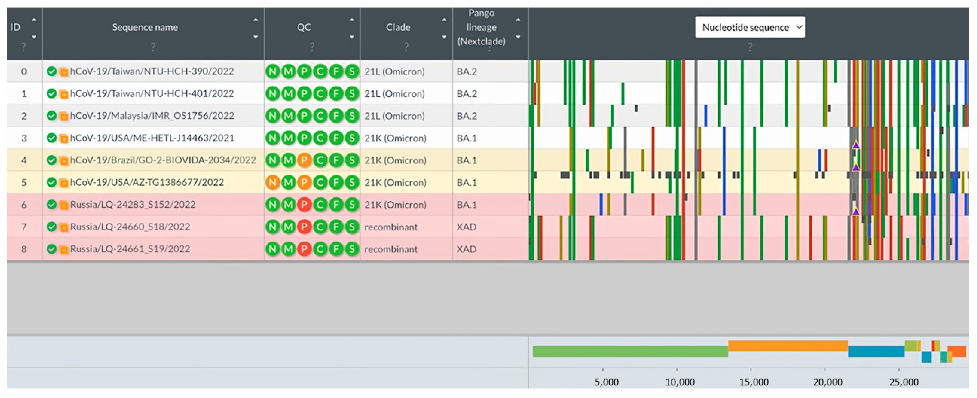 Viruses 15 01660 g003