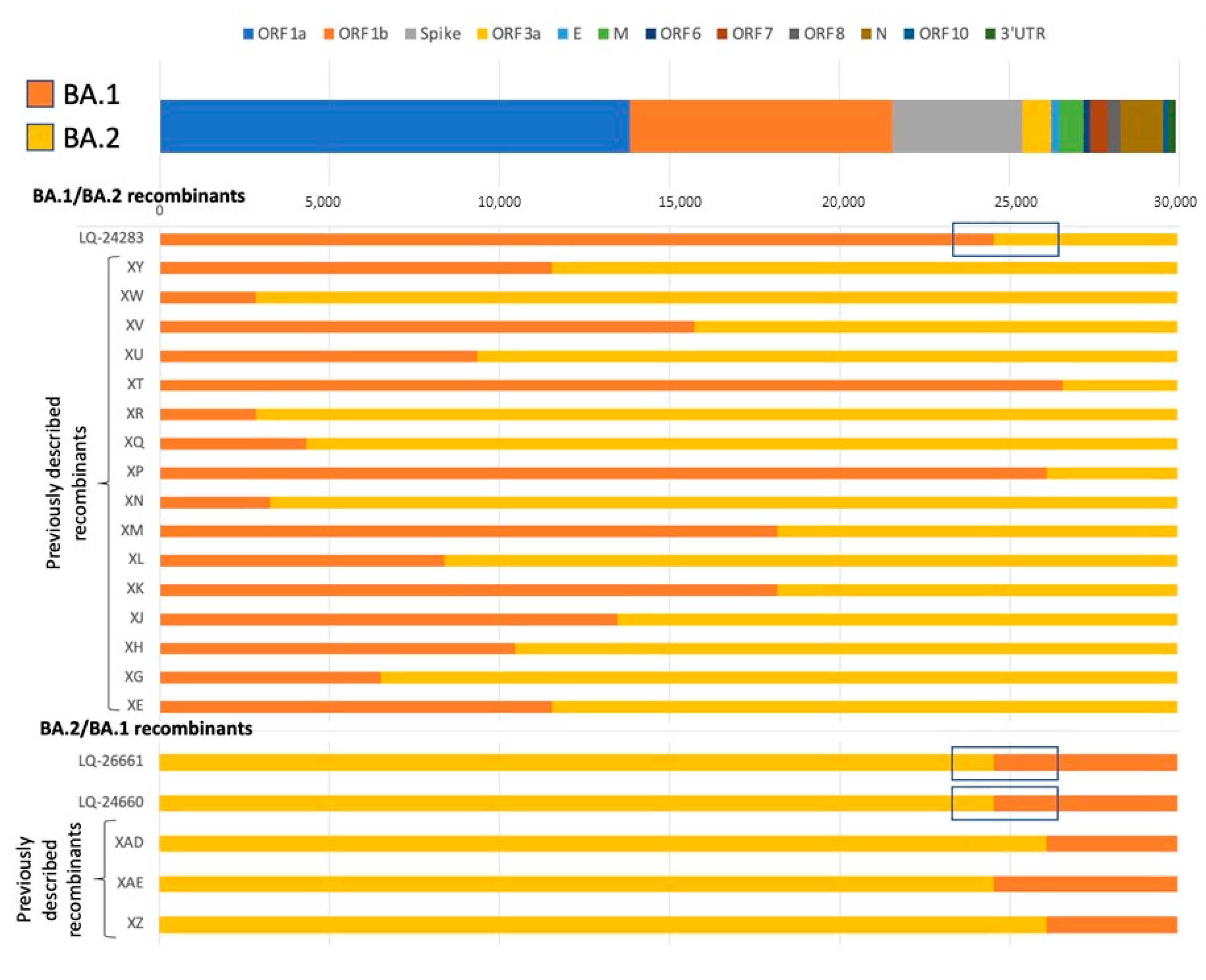 Viruses 15 01660 g004