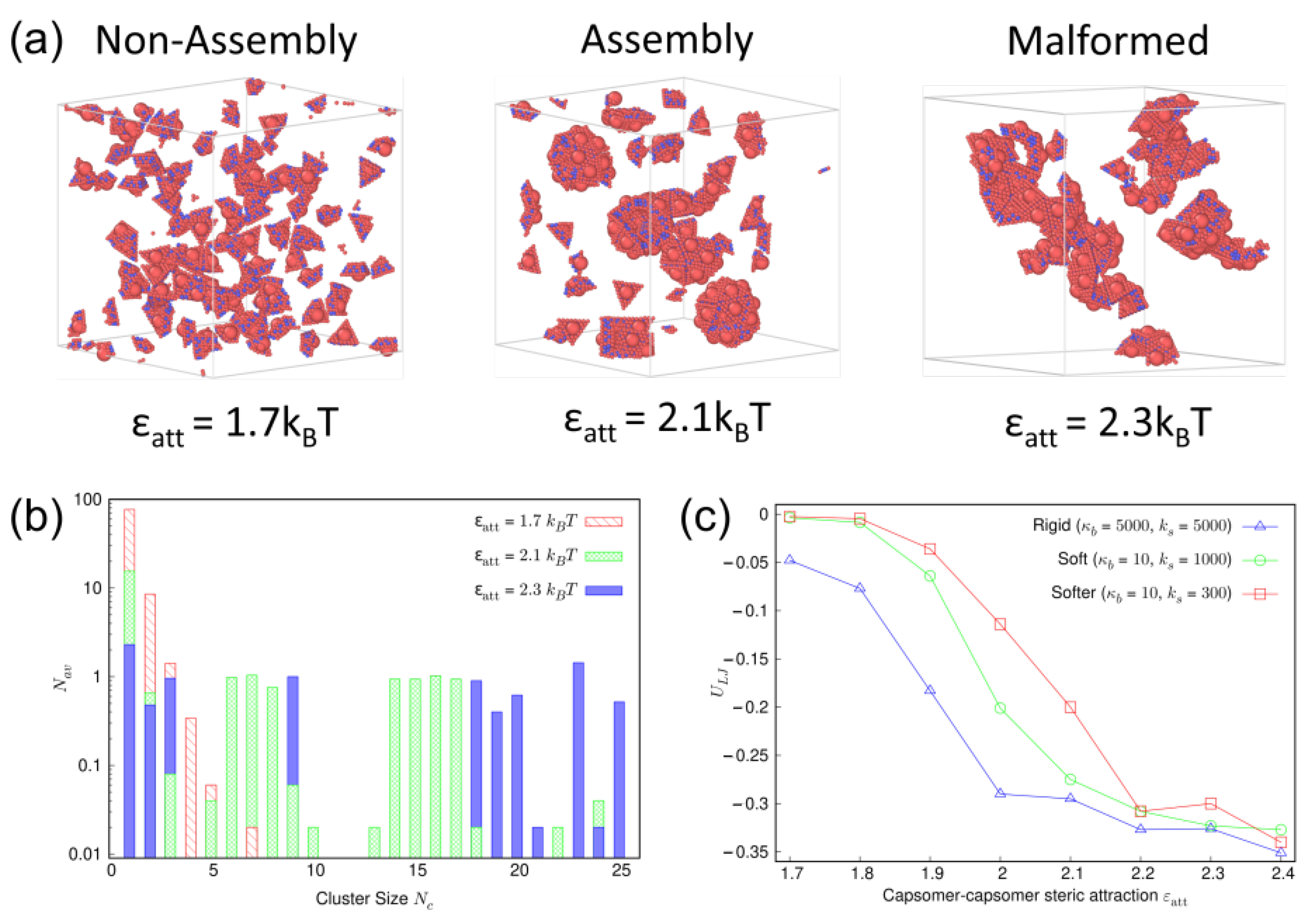 Viruses 15 01672 g004