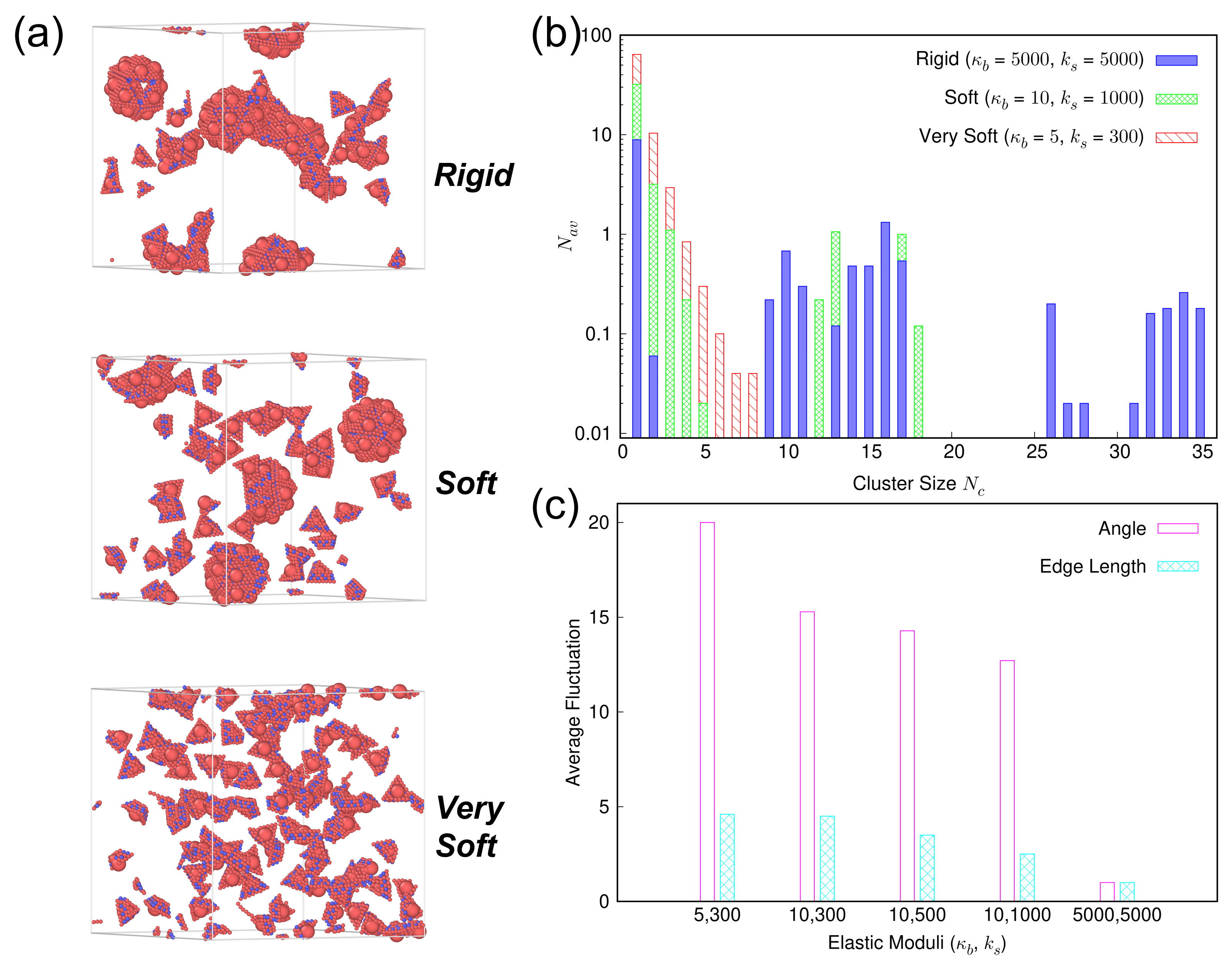 Viruses 15 01672 g005