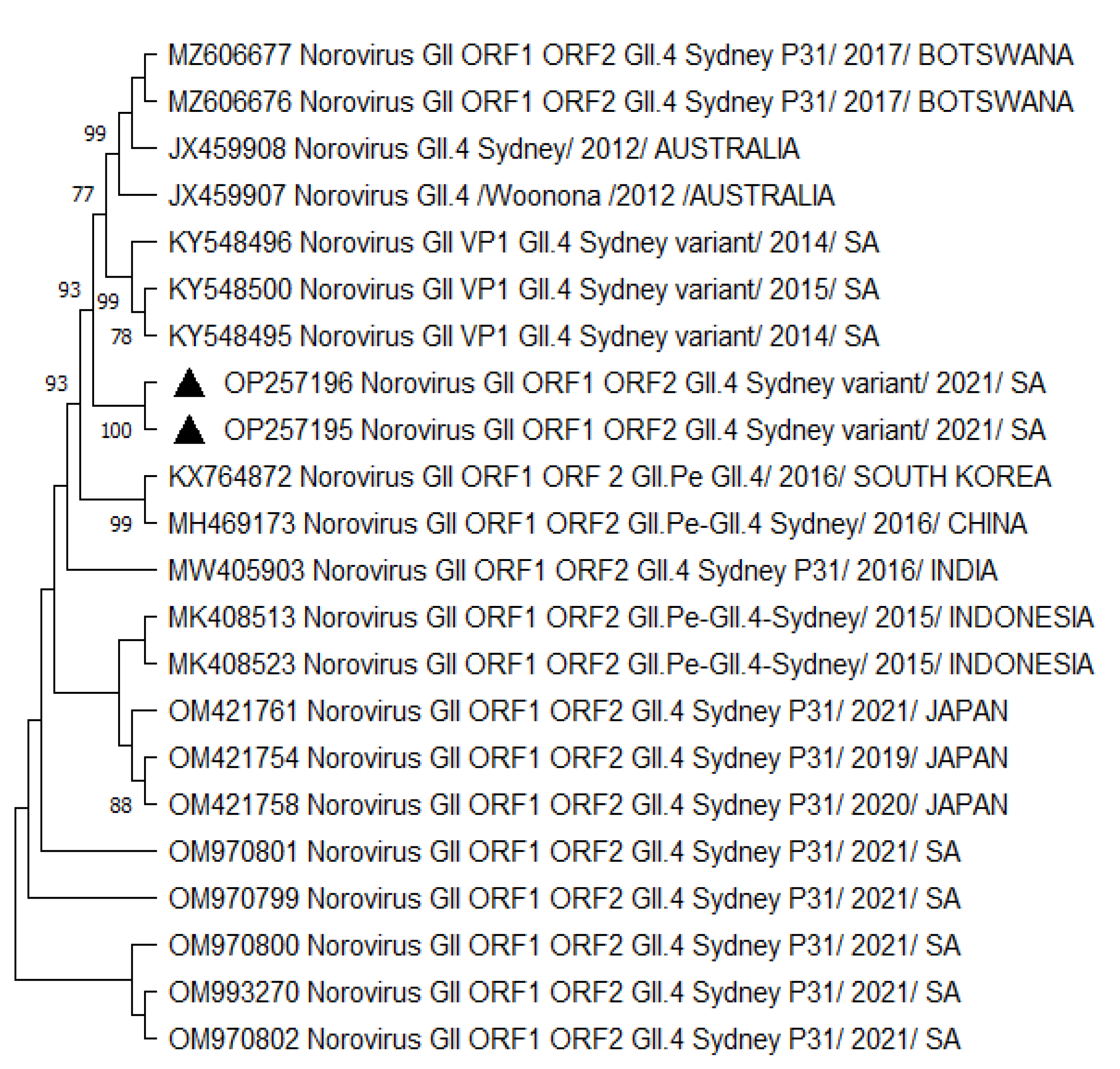 Viruses 15 01682 g002