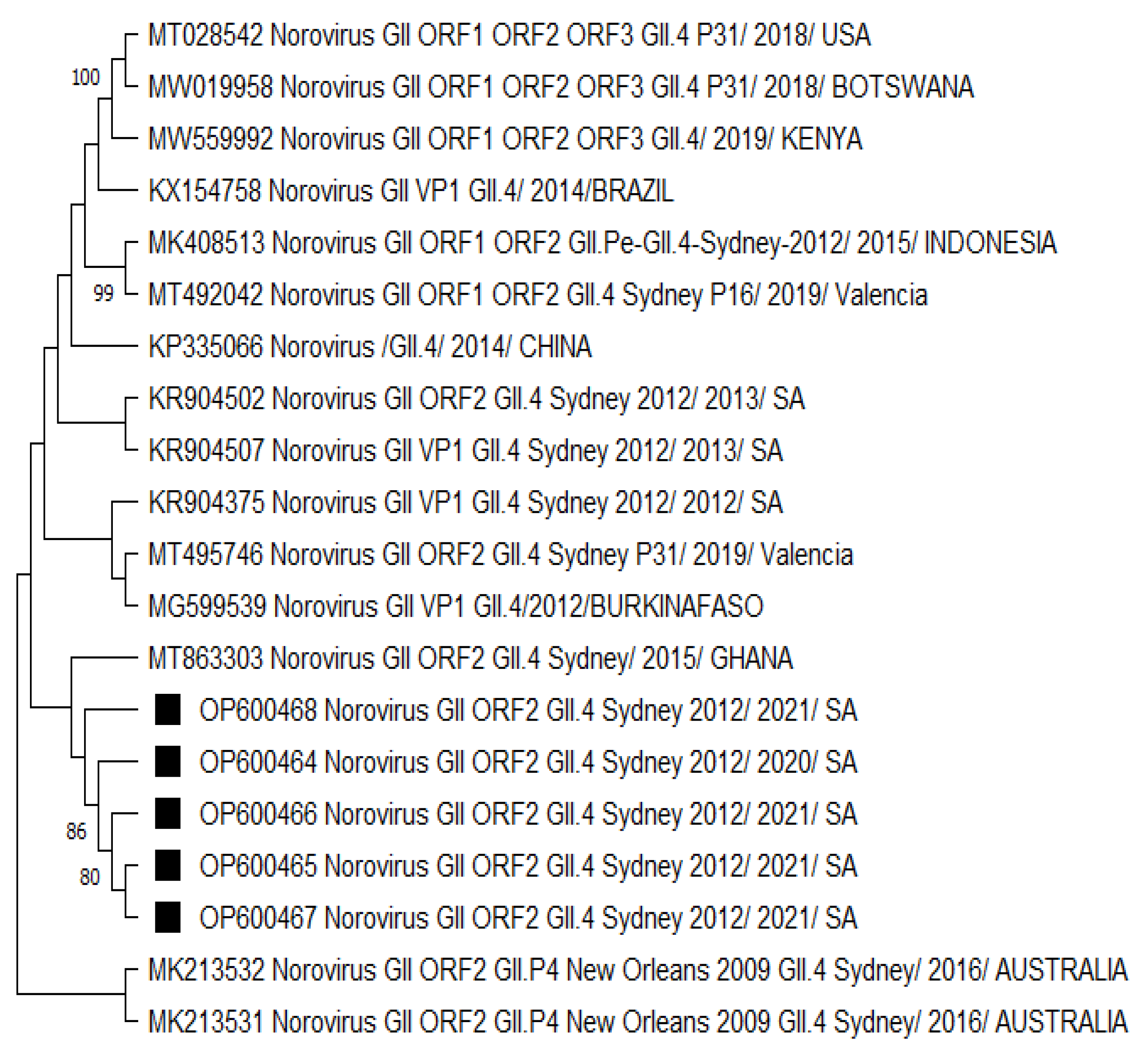 Viruses 15 01682 g003