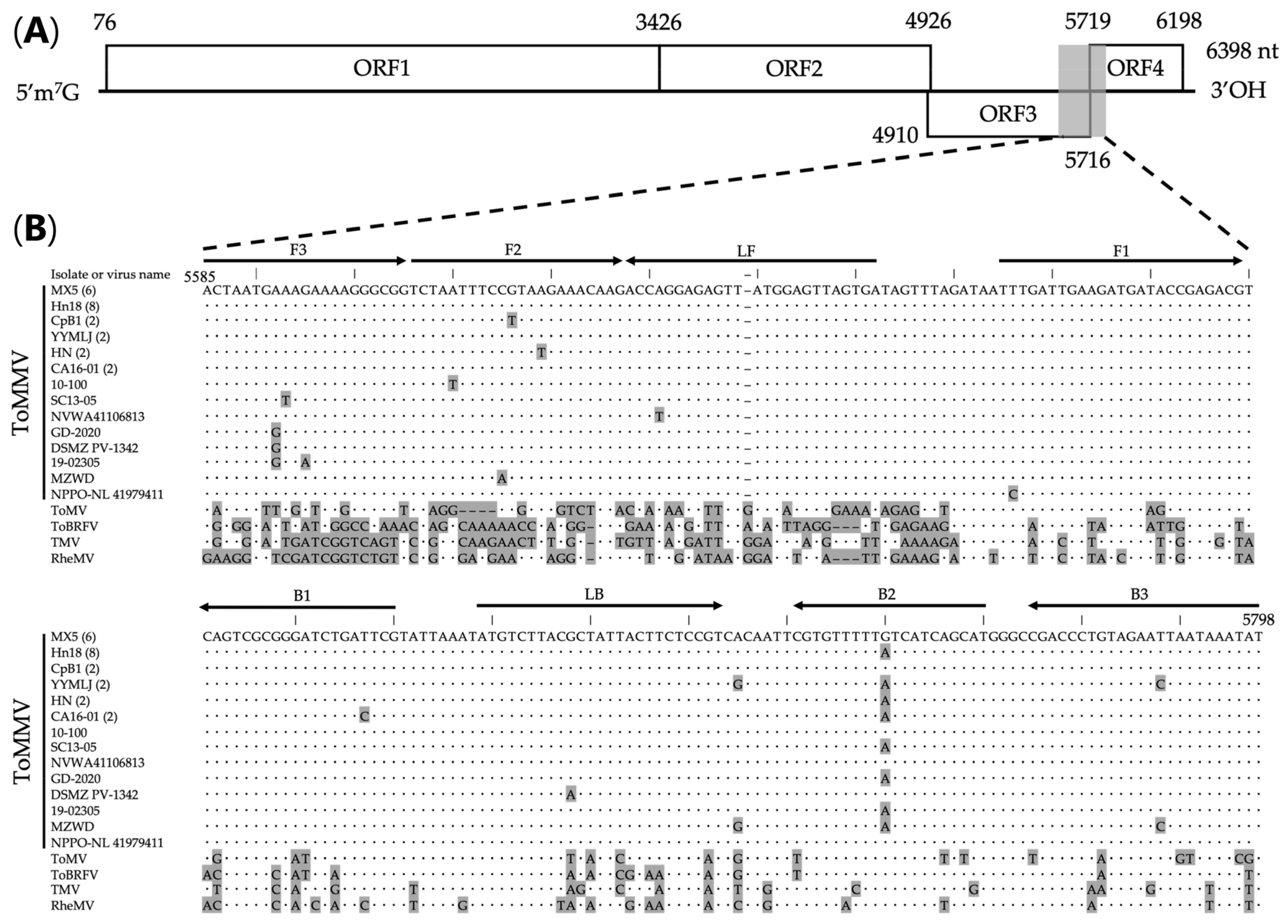 Viruses 15 01688 g001