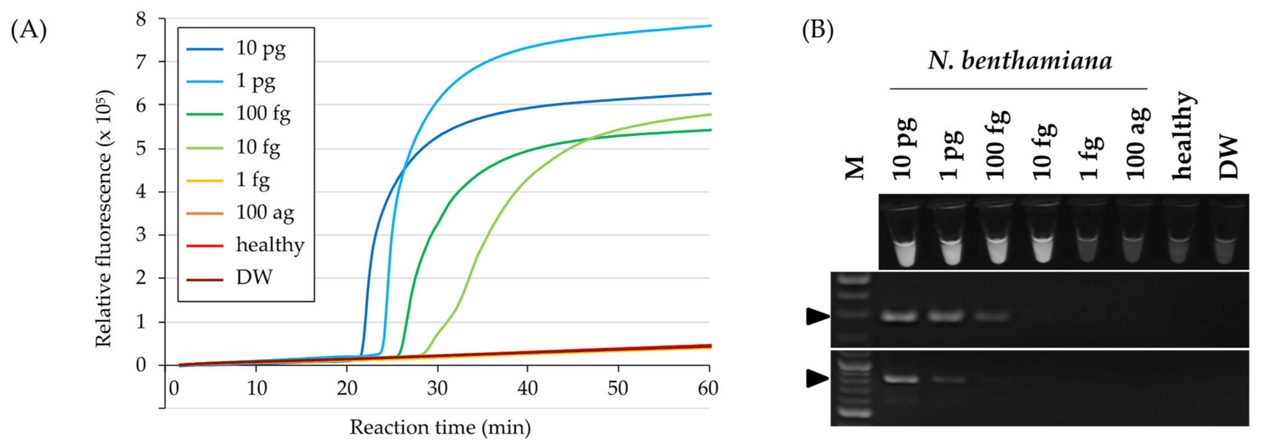 Viruses 15 01688 g004