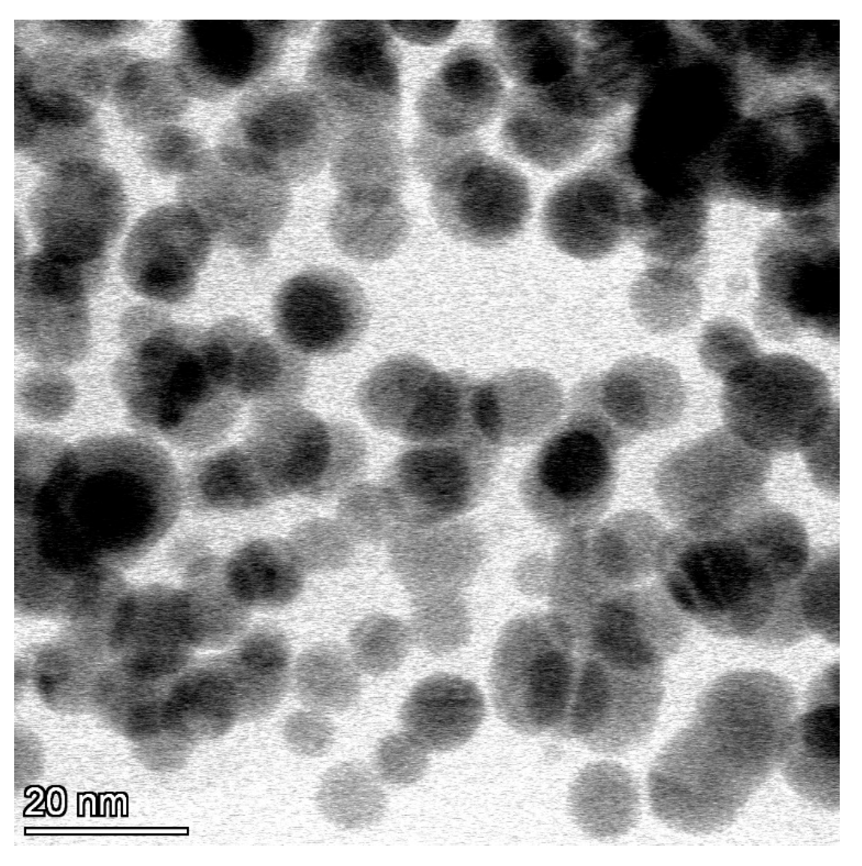 Viruses 15 01689 g001