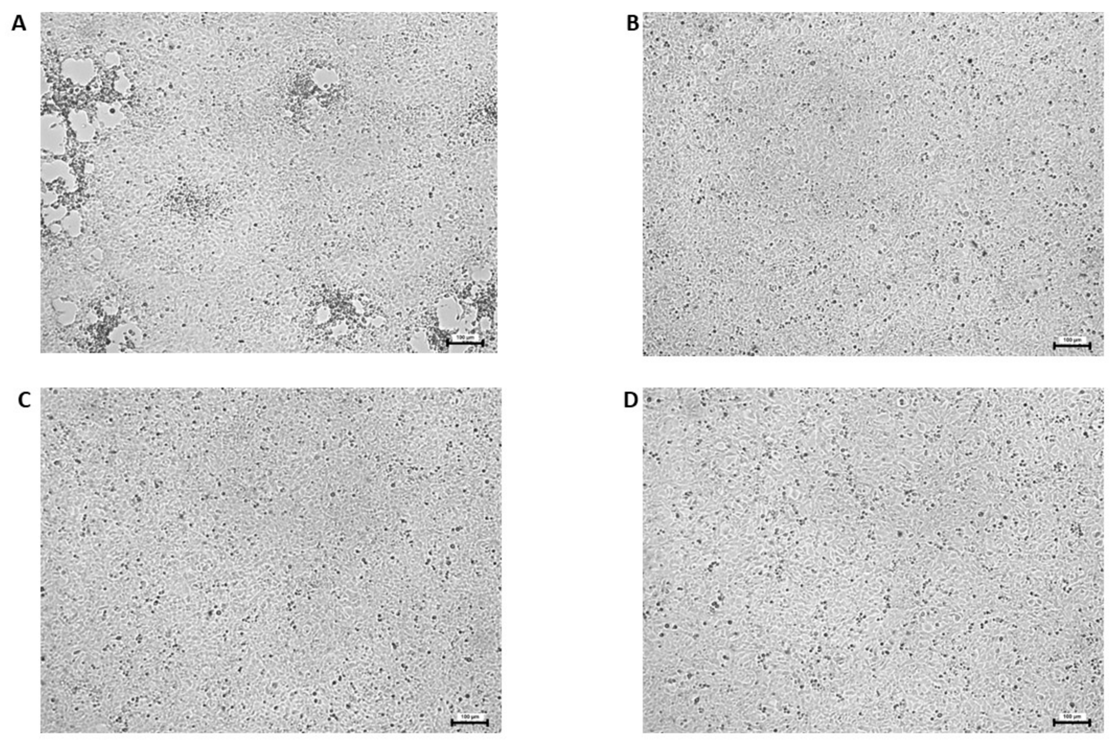 Viruses 15 01689 g004