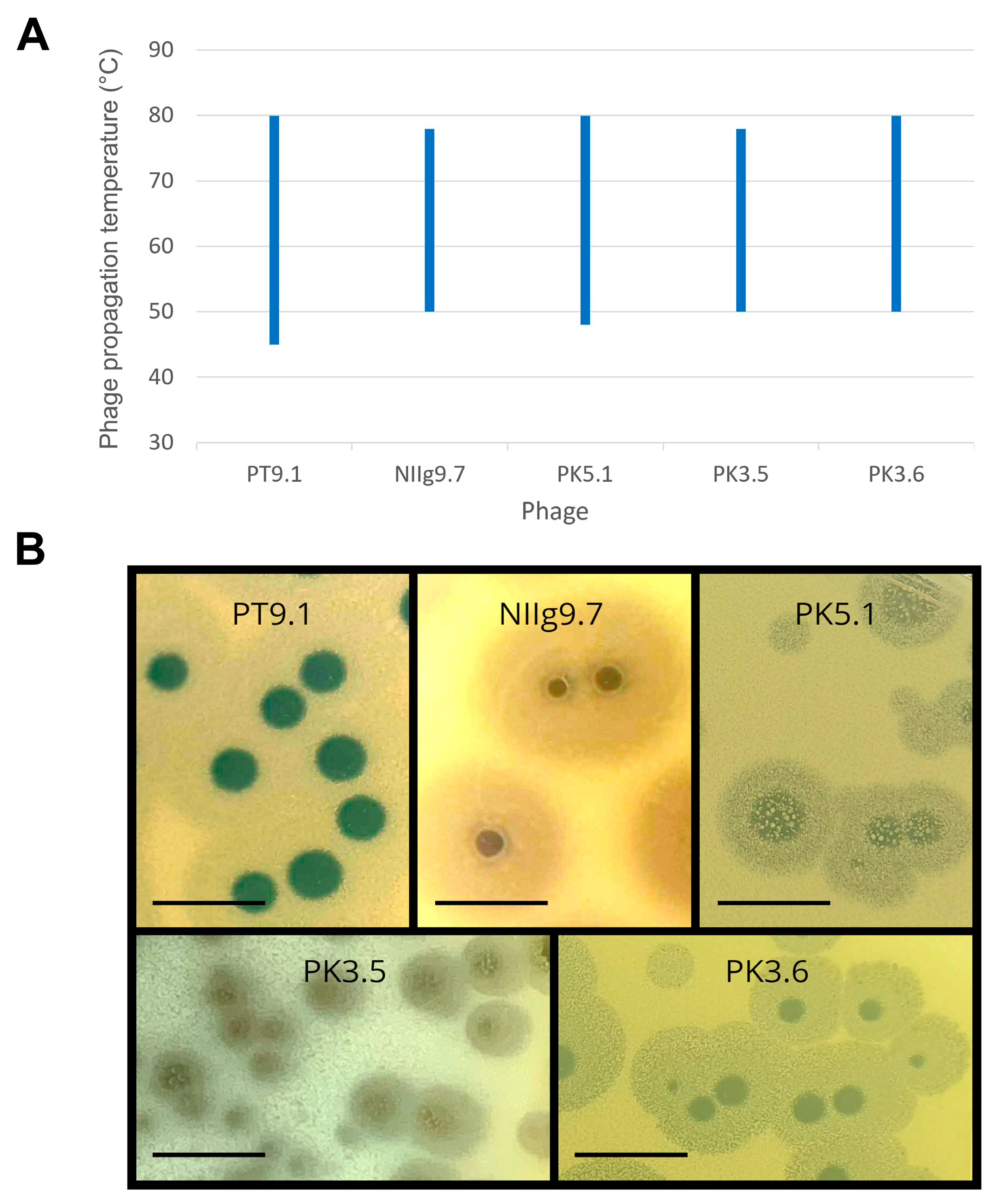 Viruses 15 01691 g003