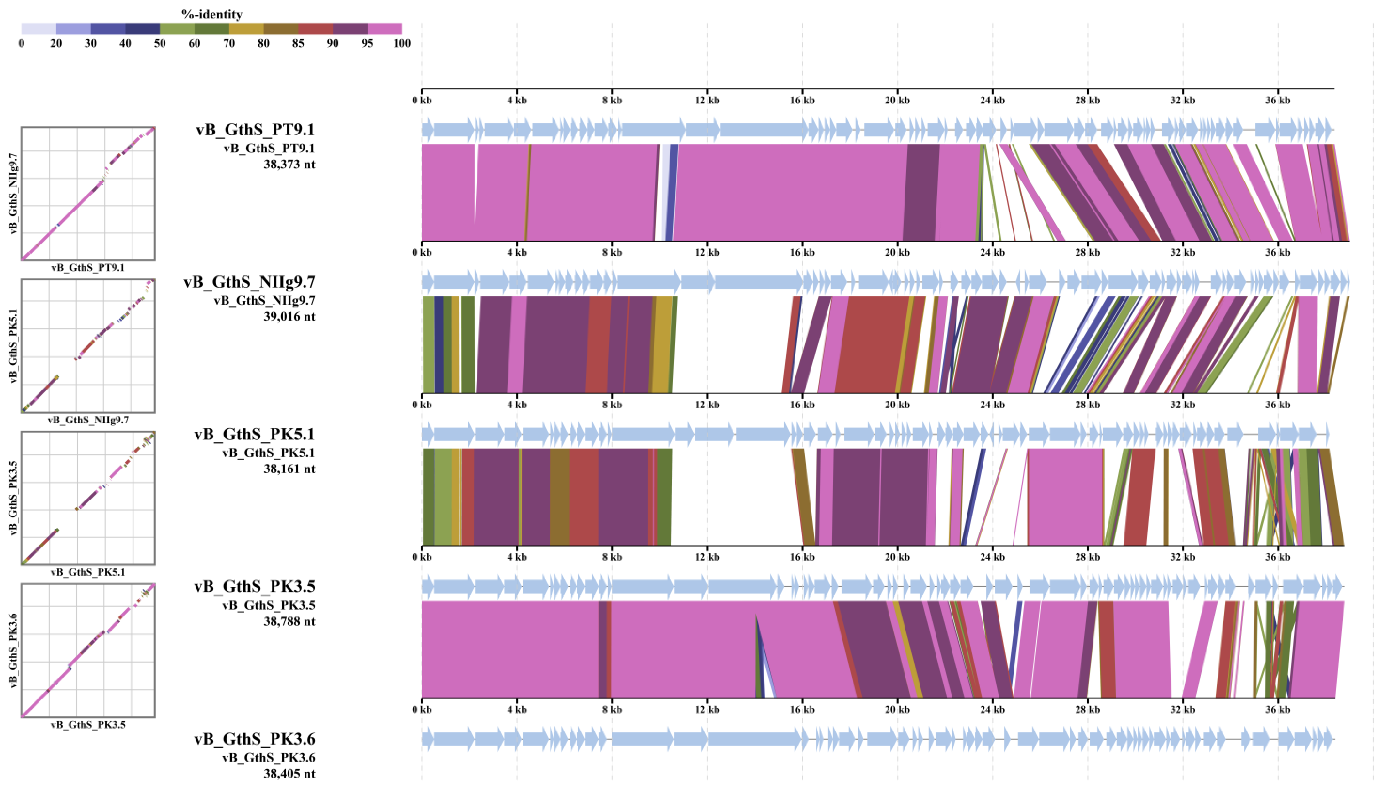 Viruses 15 01691 g007