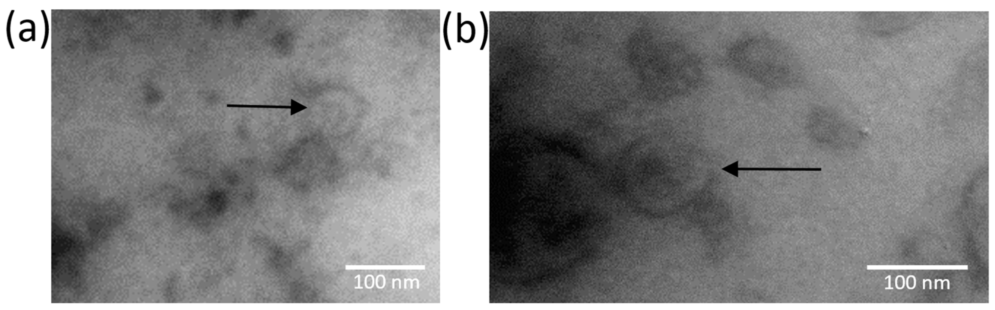 Viruses 15 01692 g002