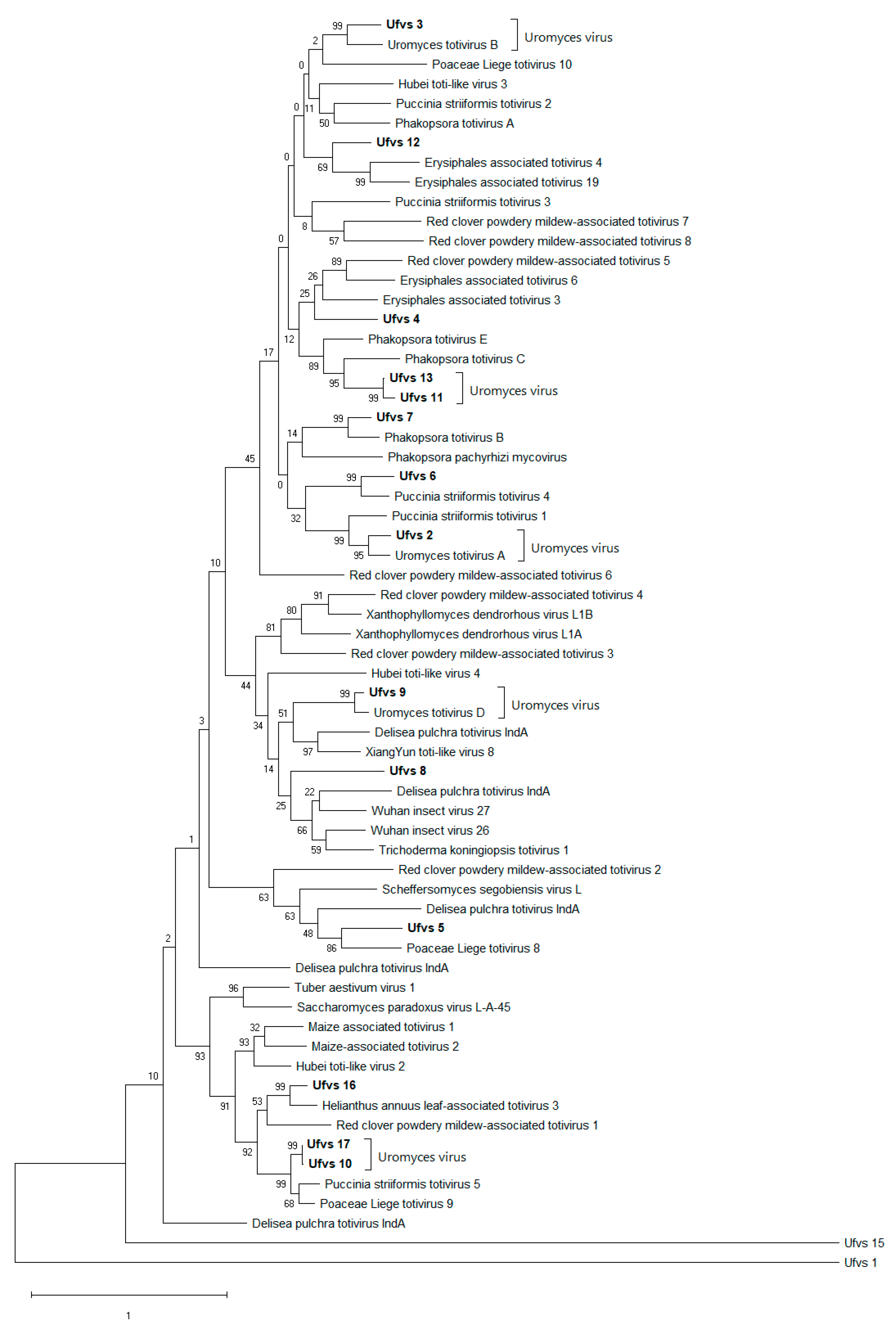 Viruses 15 01692 g003