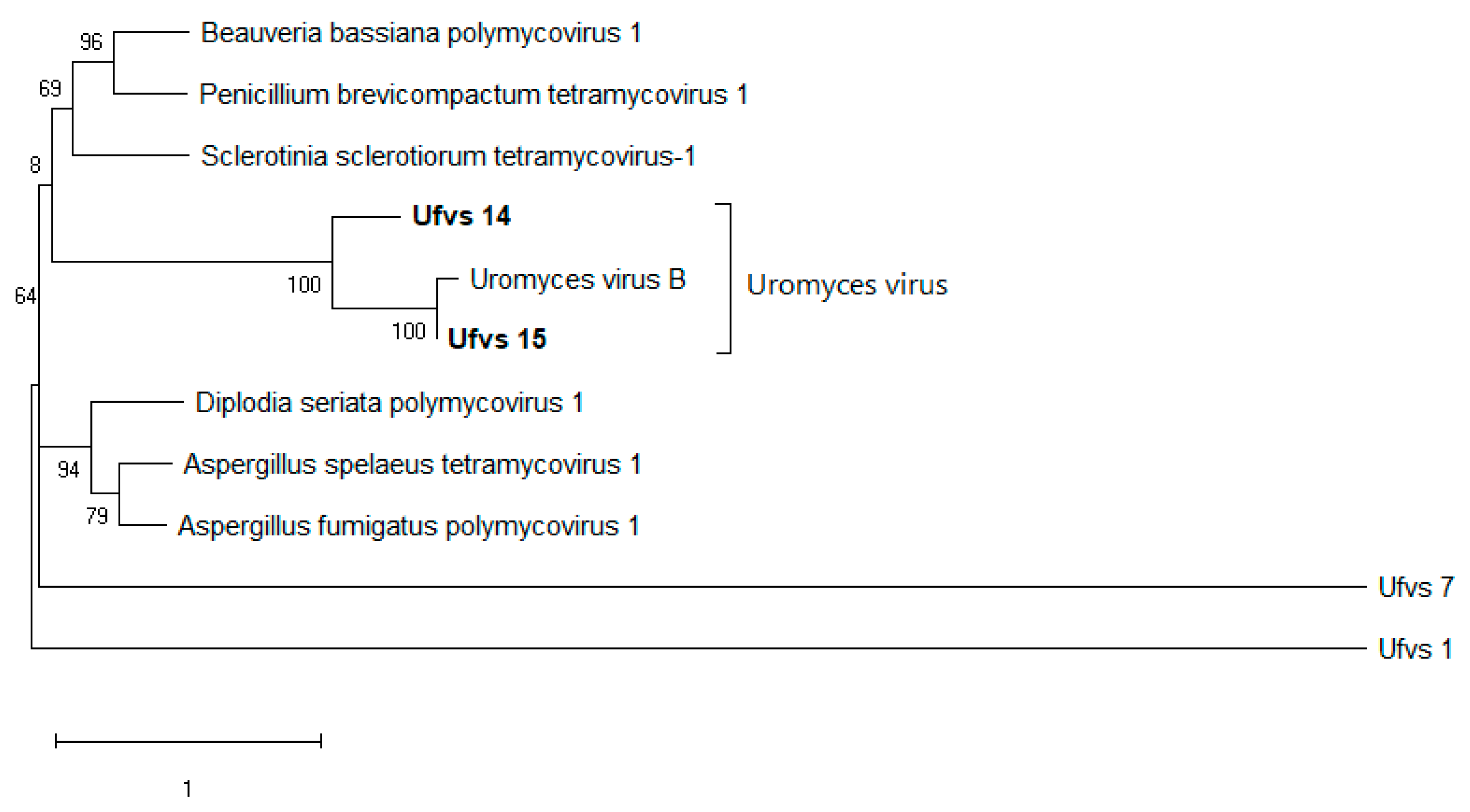 Viruses 15 01692 g004