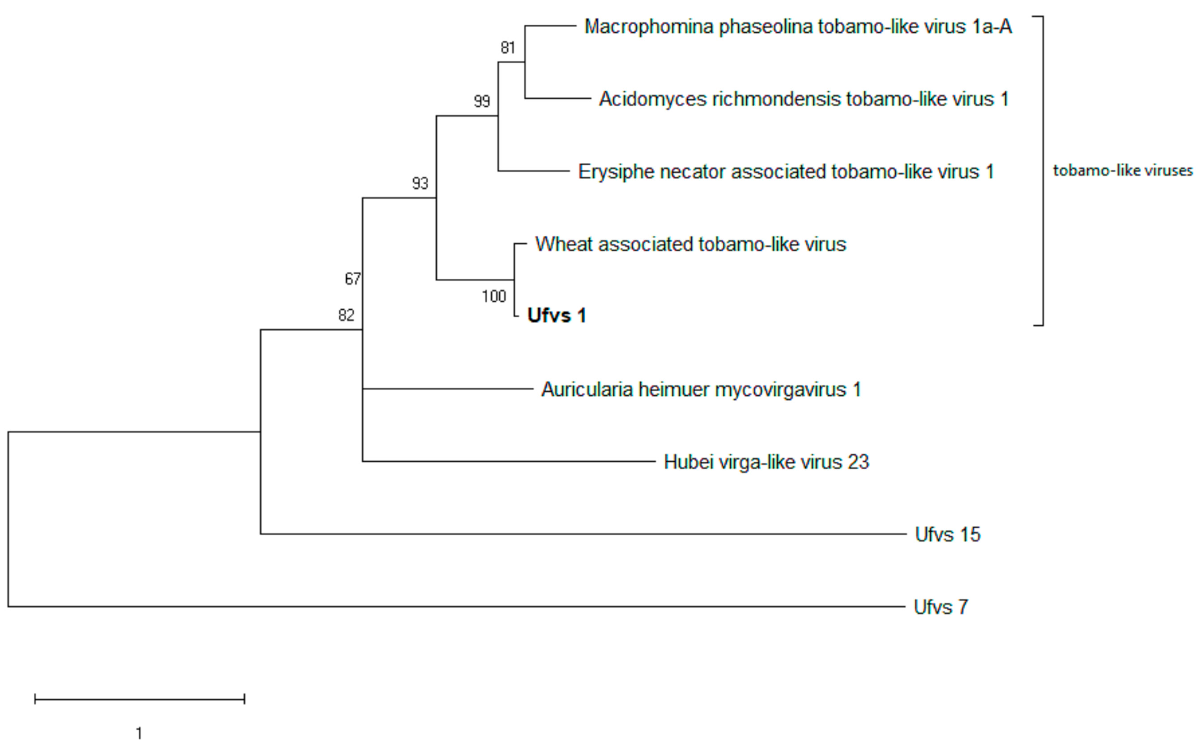 Viruses 15 01692 g005