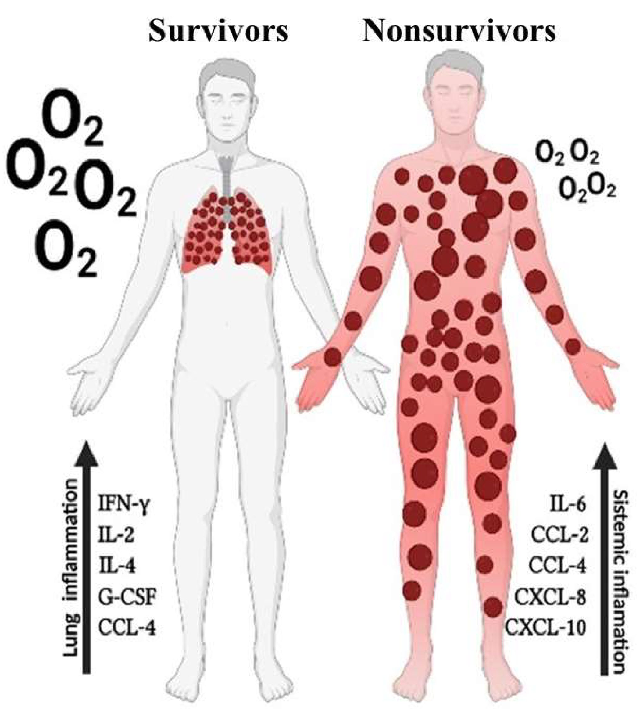 Viruses 15 01704 g006 Viruses 15 01704 g006