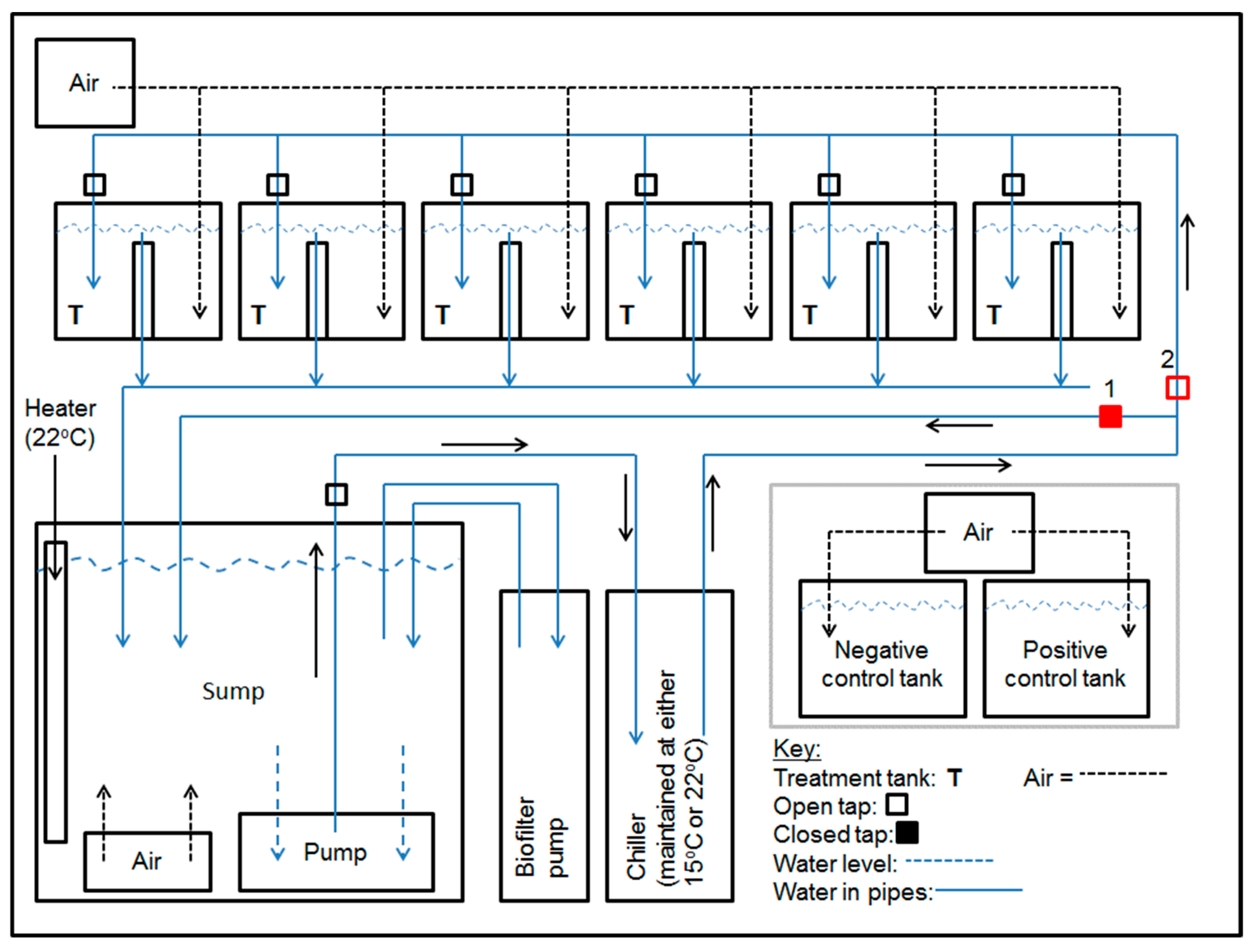 Viruses 15 01706 g001