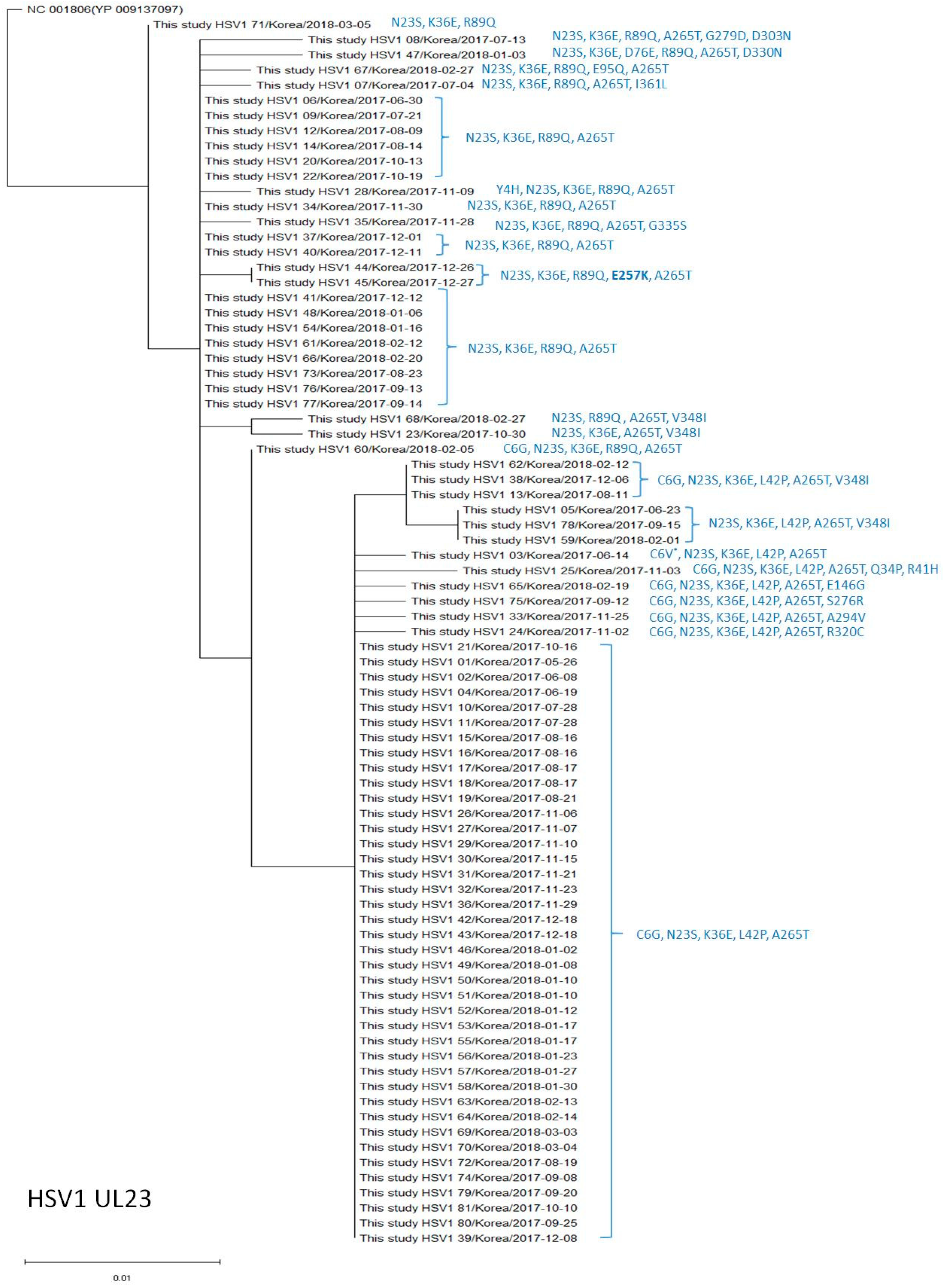 Viruses 15 01709 g001