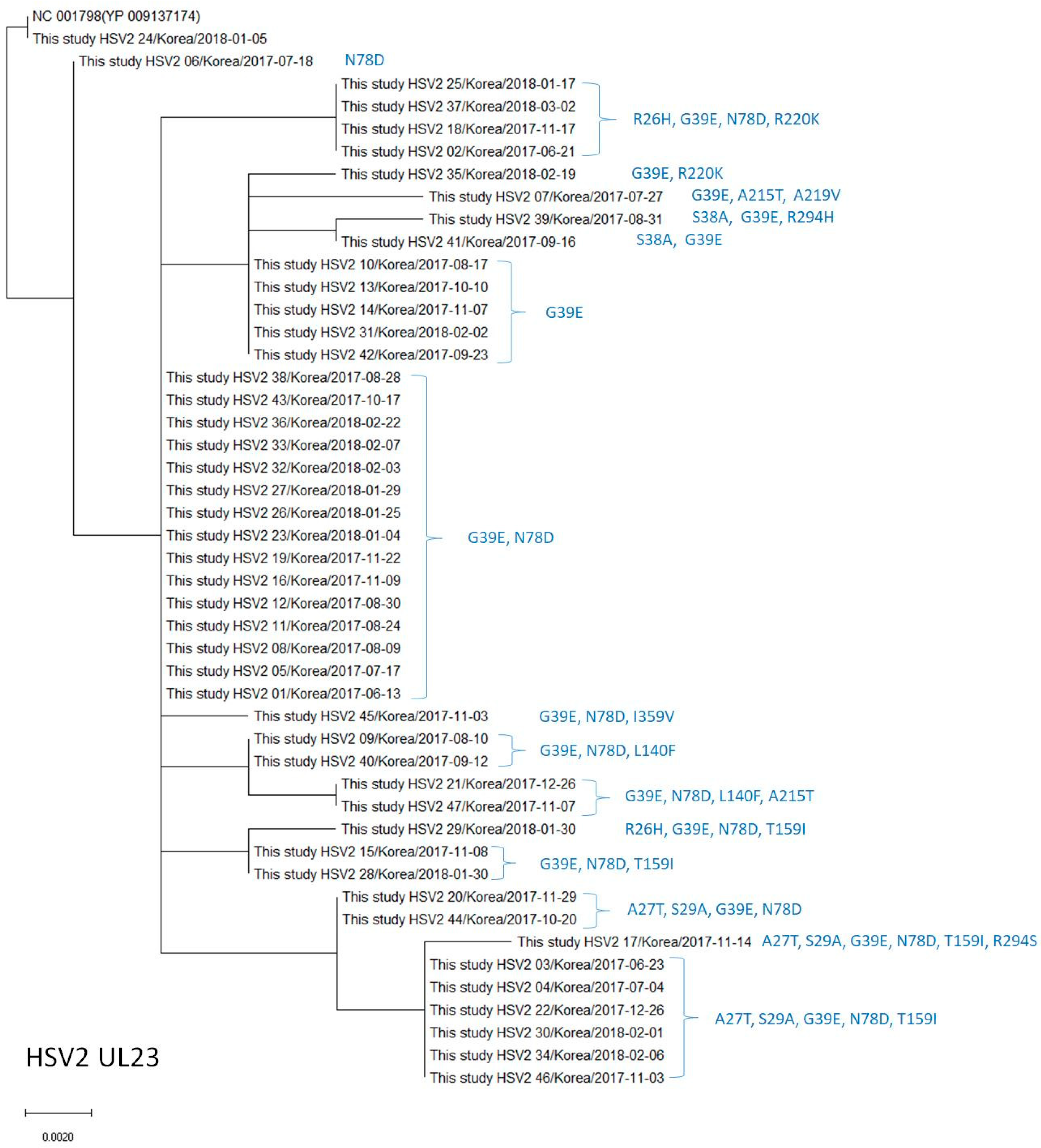 Viruses 15 01709 g003