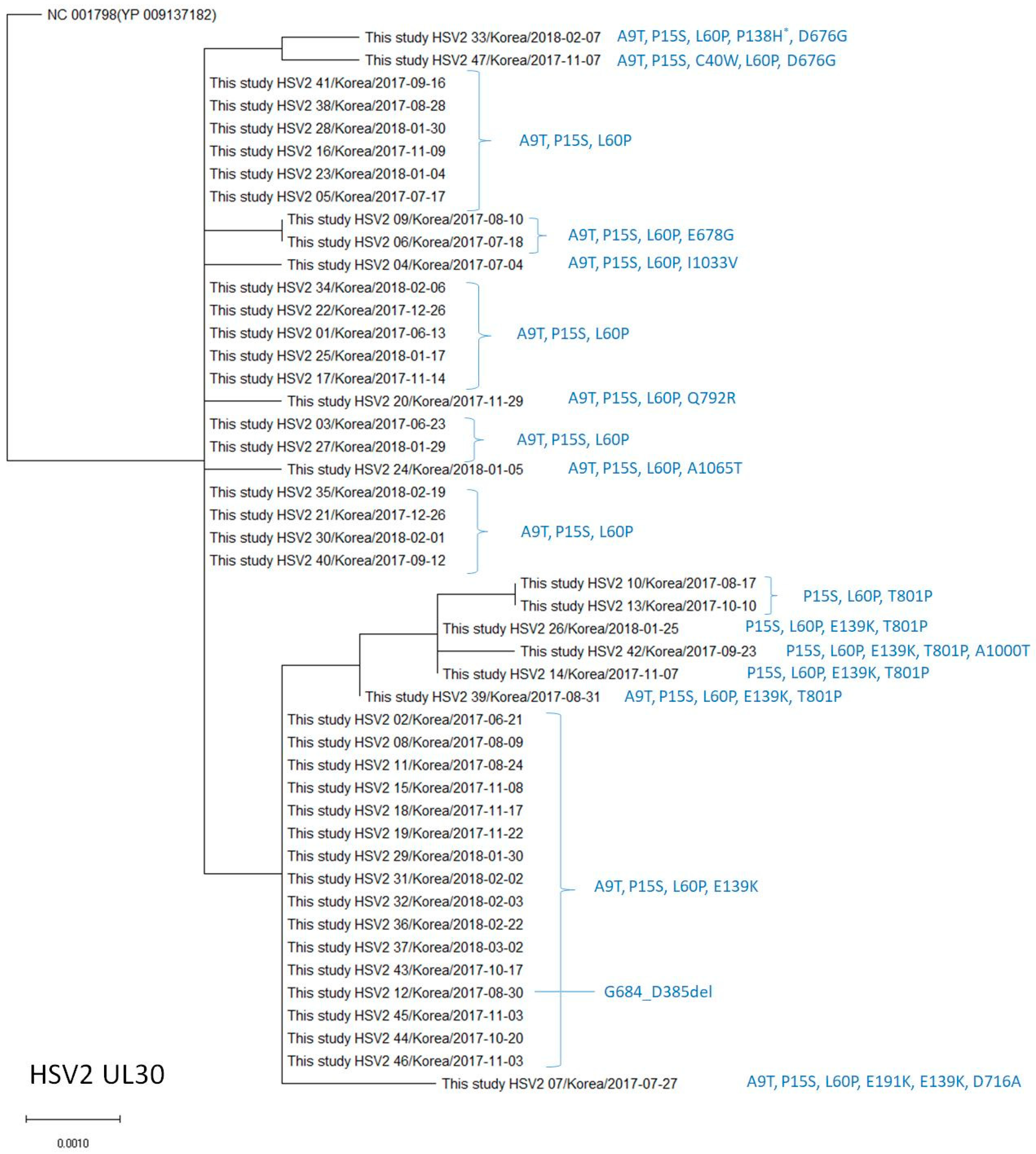 Viruses 15 01709 g004